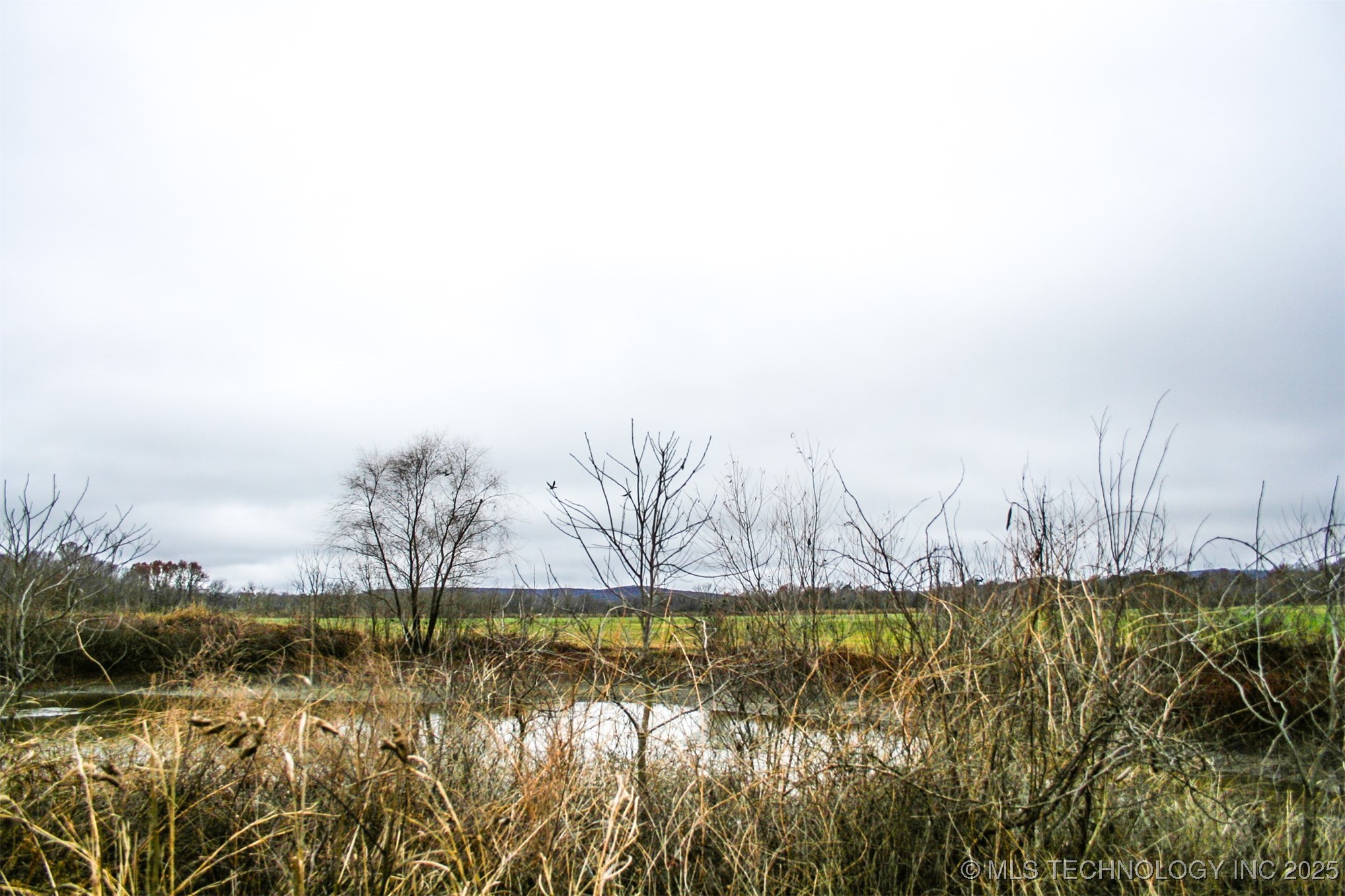 3 1120 Property Photo 9