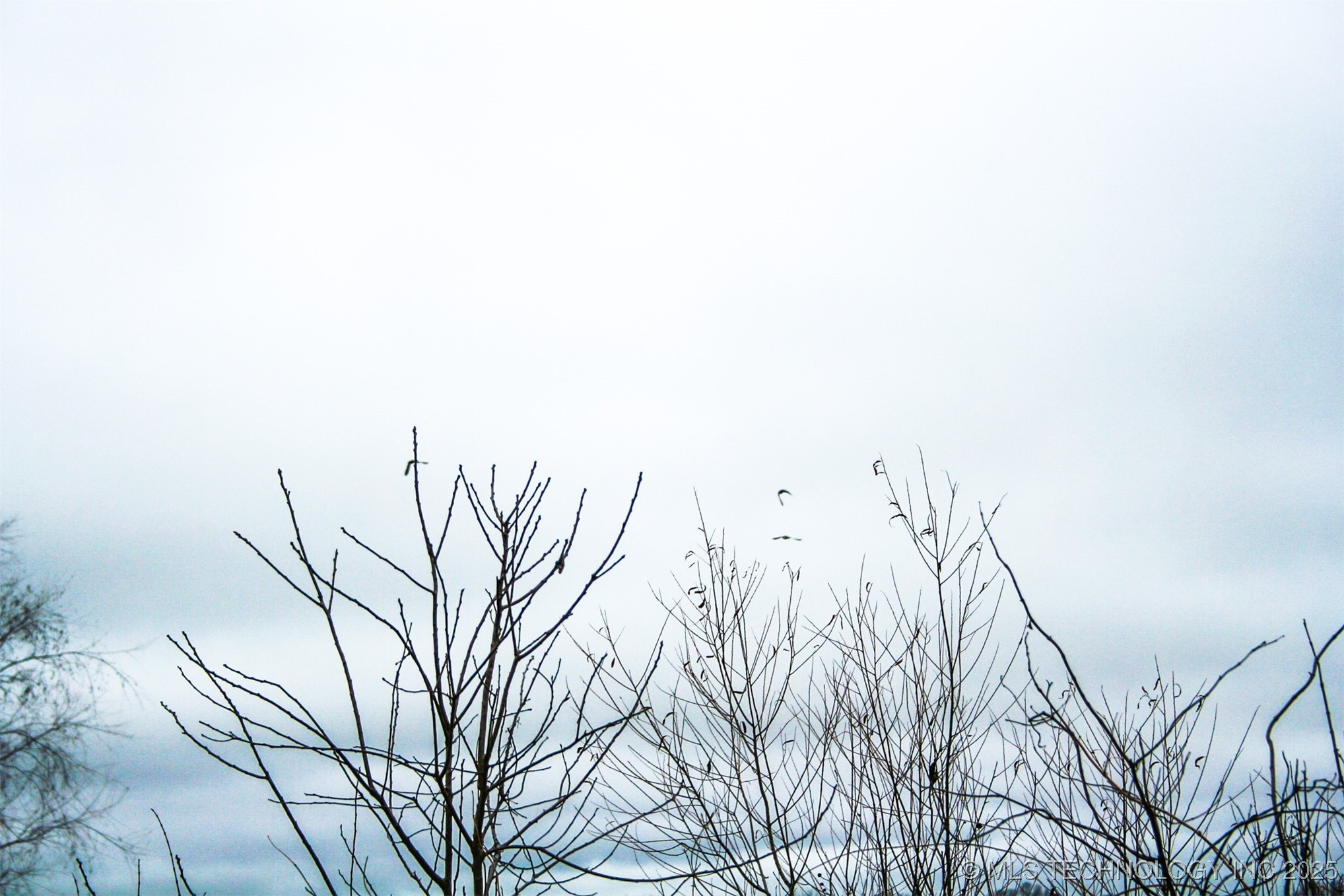 3 1120 Property Photo 12