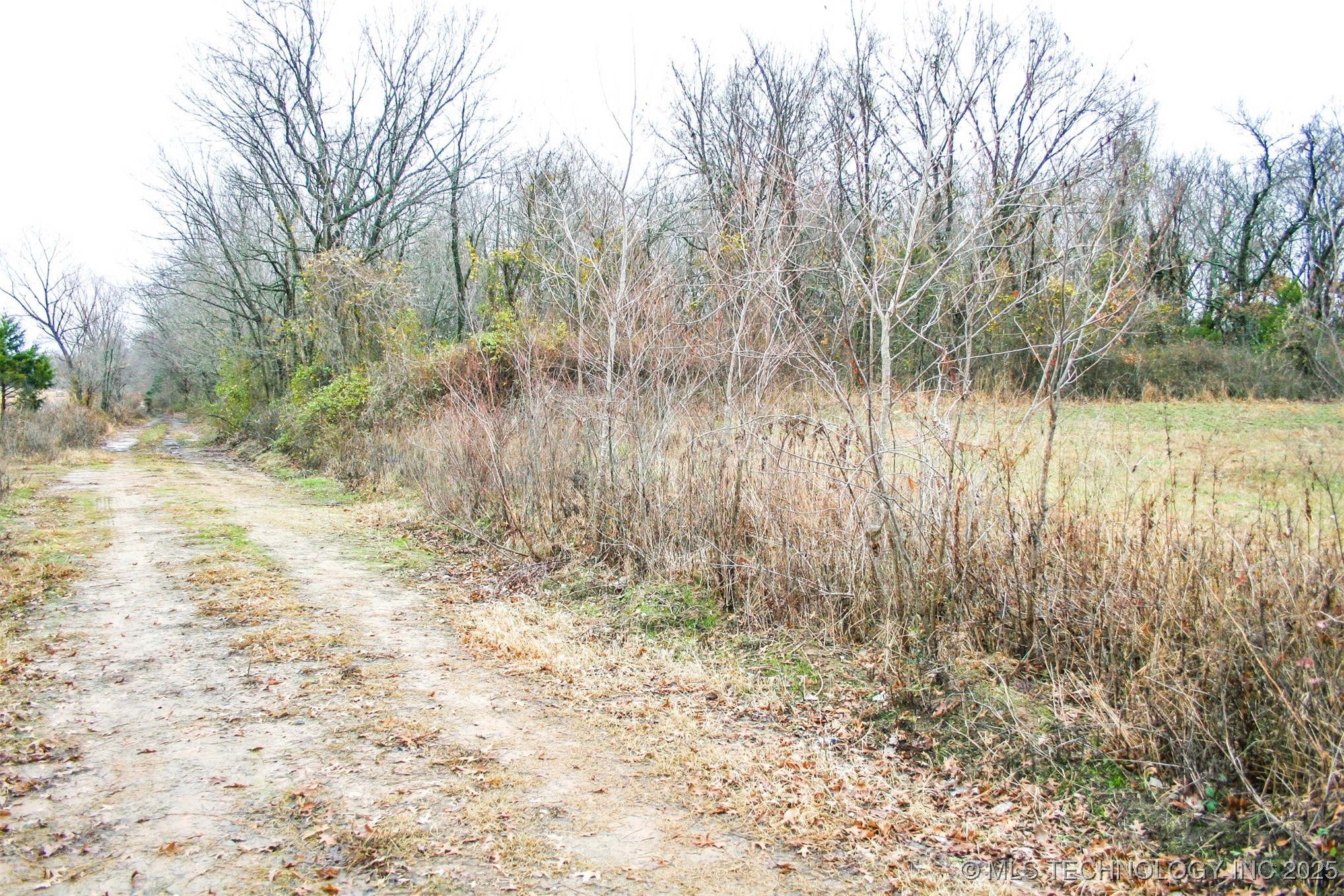 1 1120 Property Photo 4