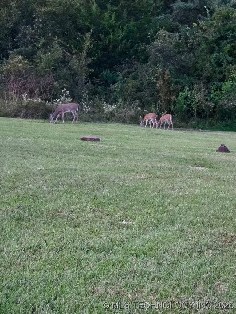 98 Rancho Sol Street Property Photo 18