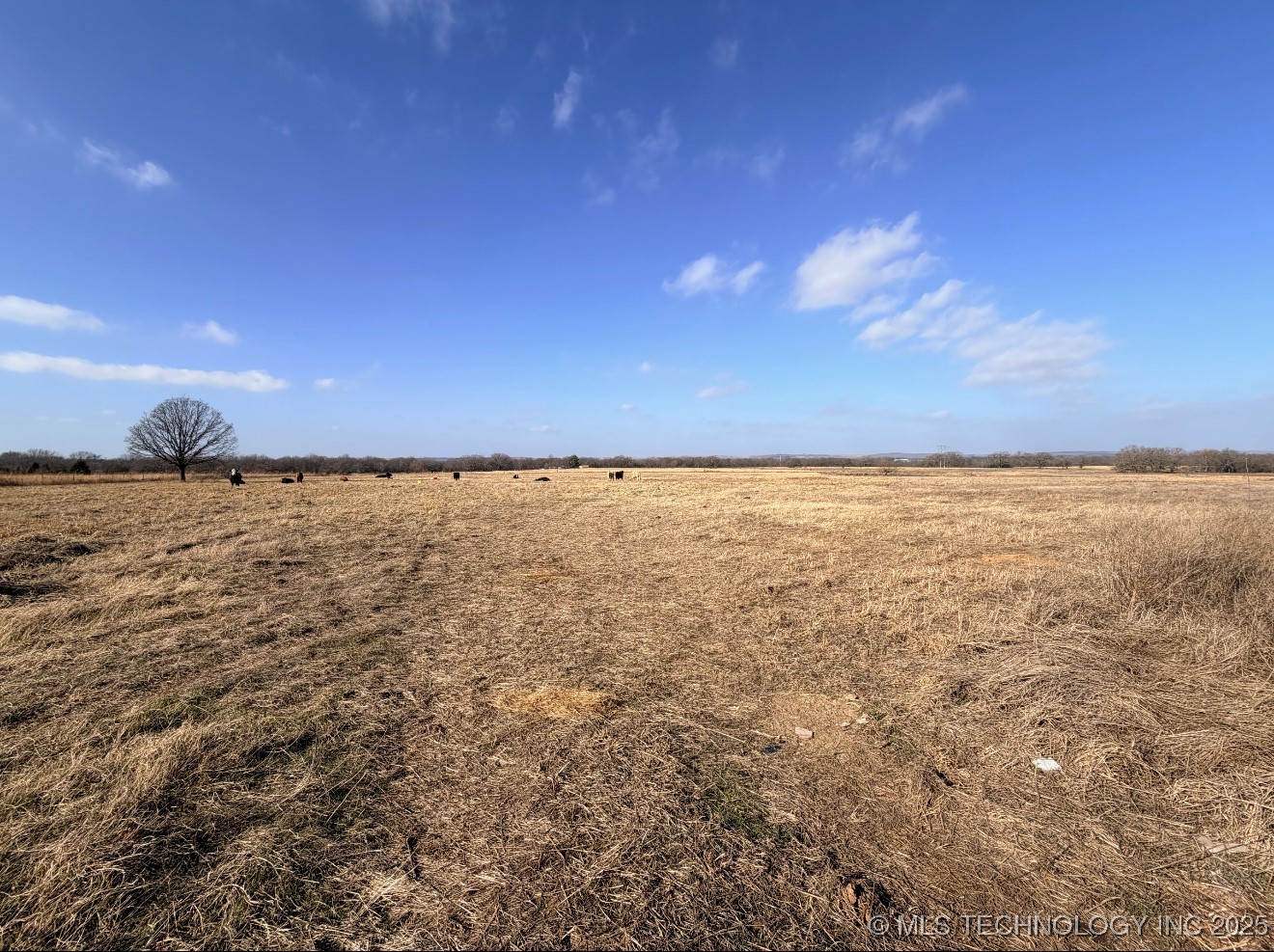 24751 S 200 Road Property Photo 41