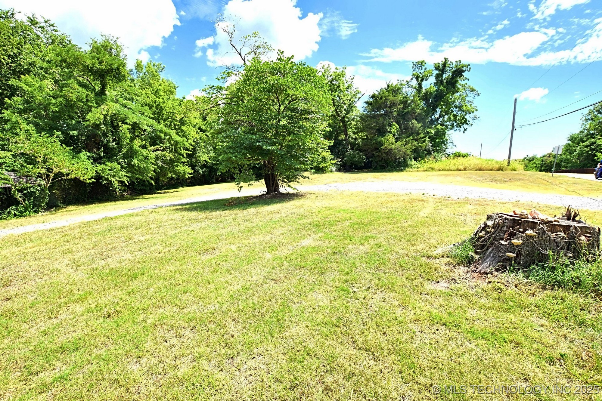 403 S Bluff Avenue Property Photo 3