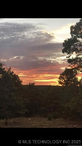 181103 W Sherman Road Property Photo 37