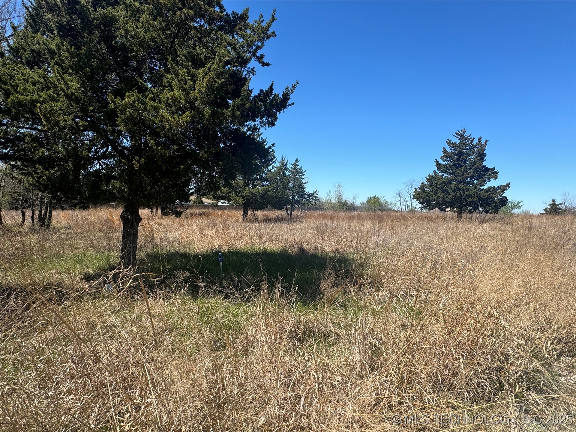 19500 E 6th Street Property Photo 6