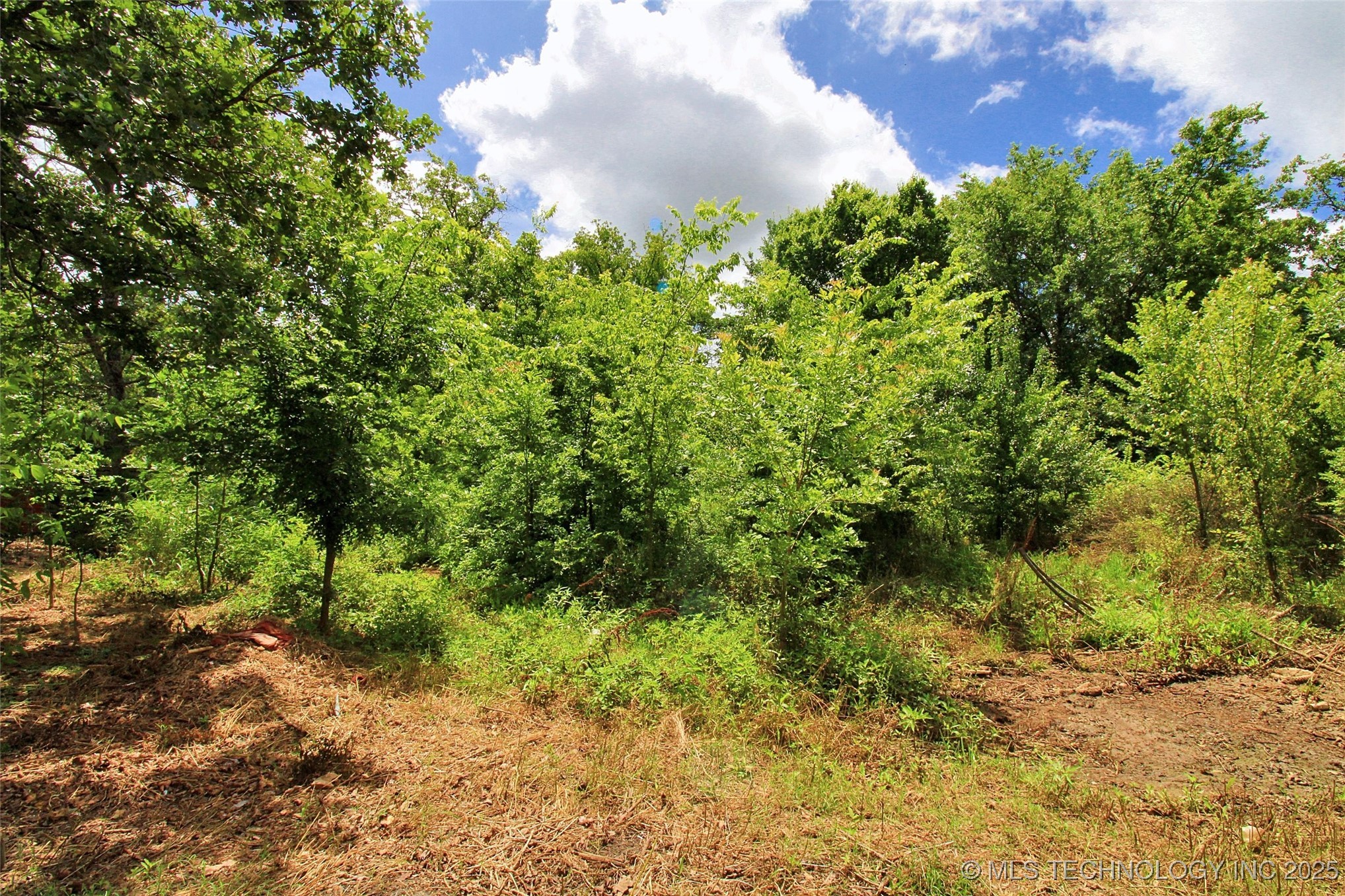 21098 S 495 Road Property Photo 7