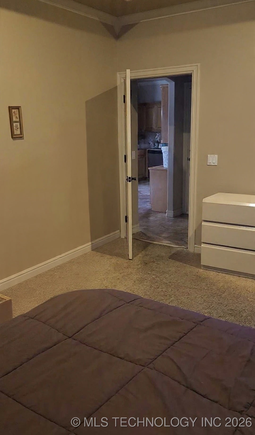 1113 Cobblestone Circle Property Photo 19