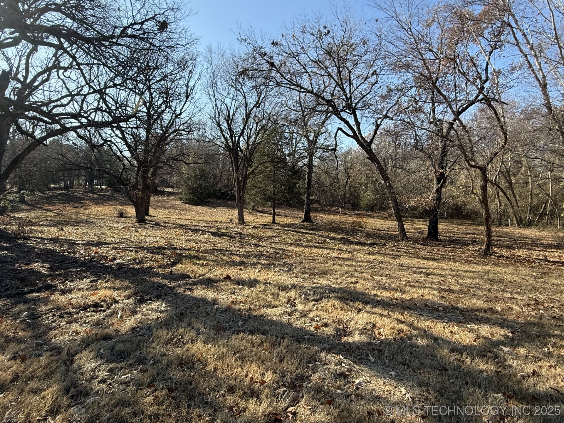 1437 Nitzel Road Property Photo 3