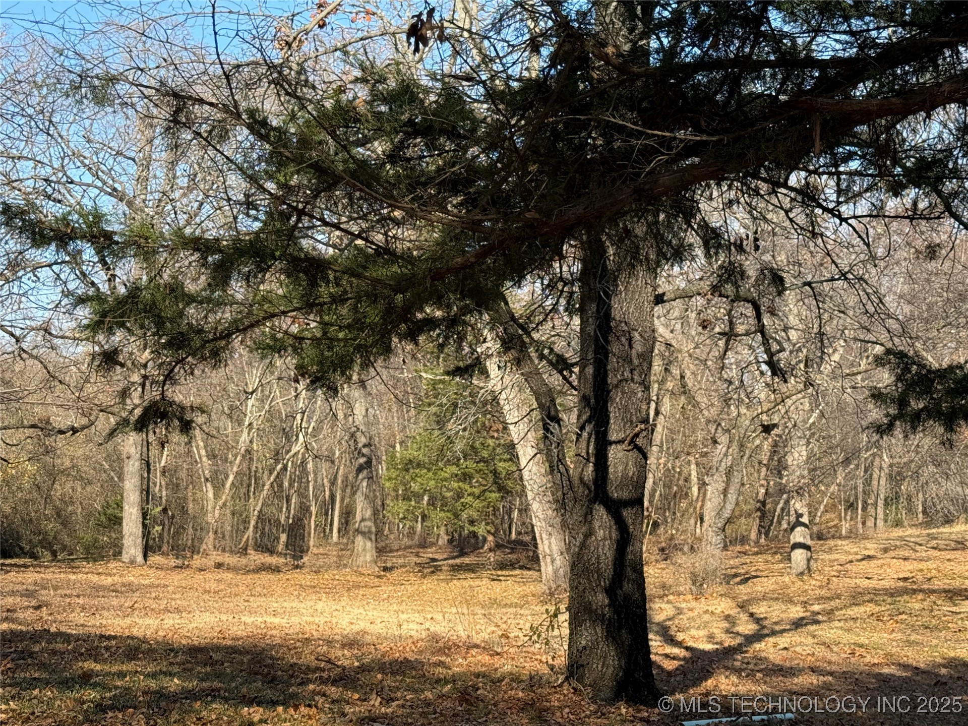 1437 Nitzel Road Property Photo 5