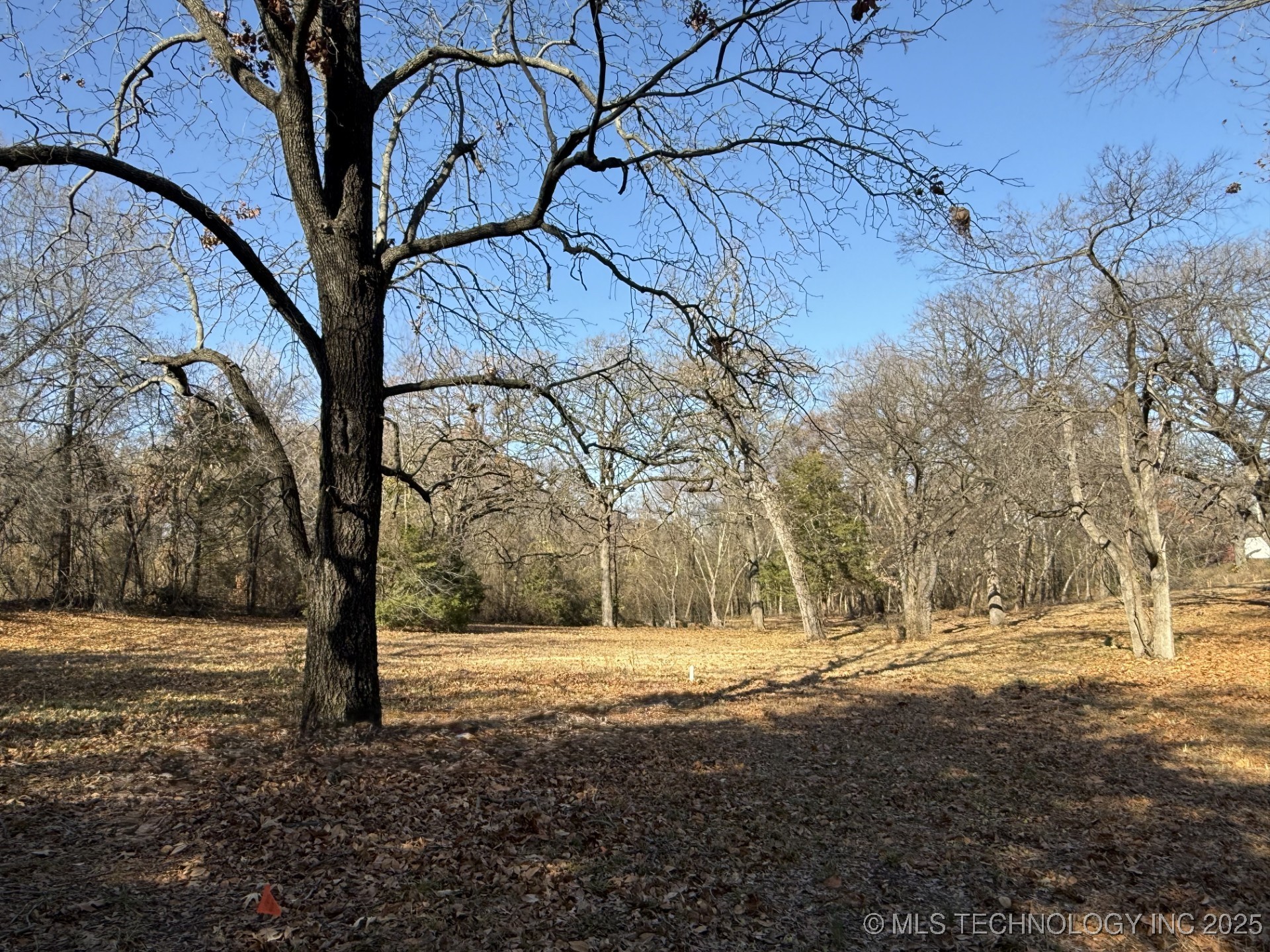 1437 Nitzel Road Property Photo 6