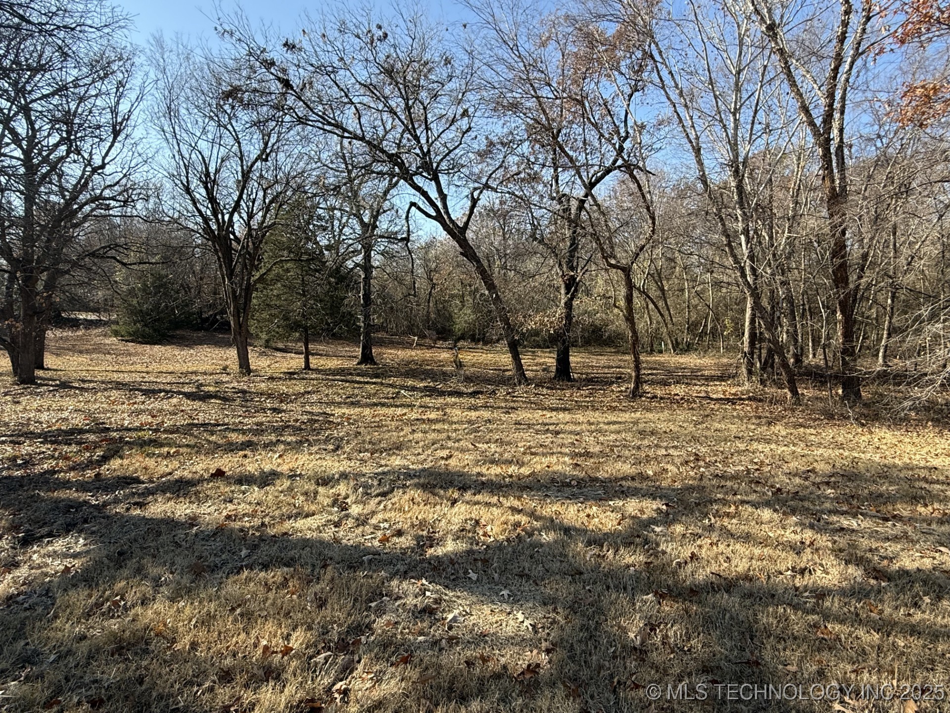 1437 Nitzel Road Property Photo 8