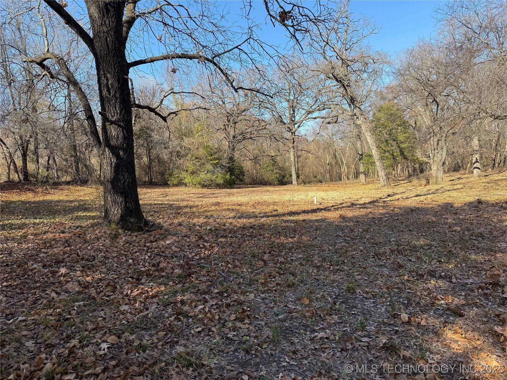 1437 Nitzel Road Property Photo 9