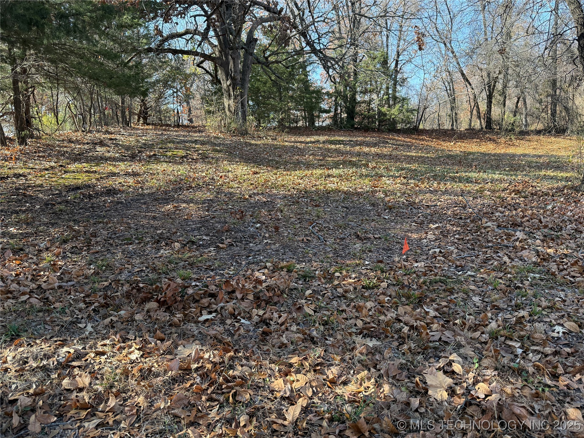 1437 Nitzel Road Property Photo 10