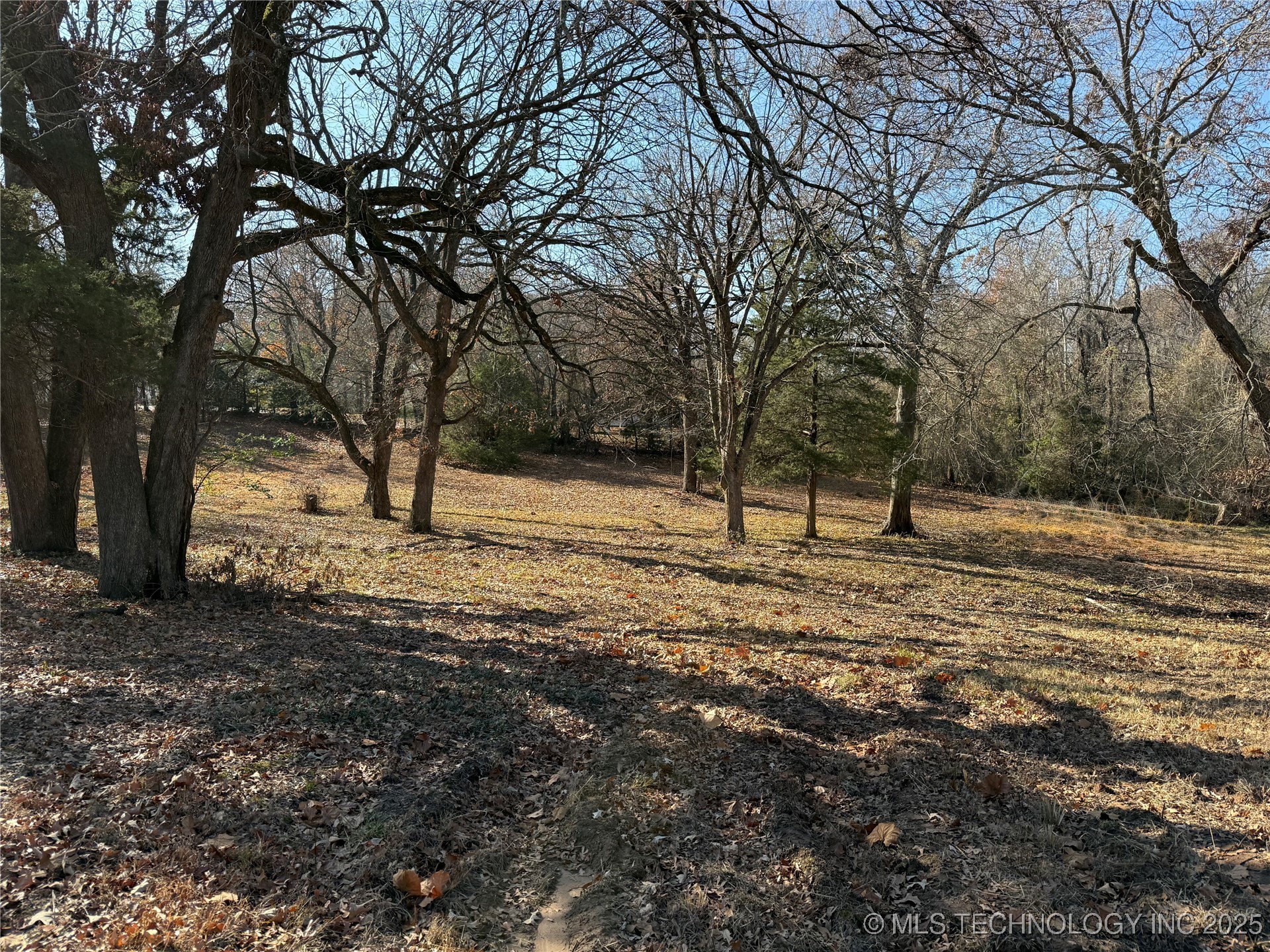 1437 Nitzel Road Property Photo 11