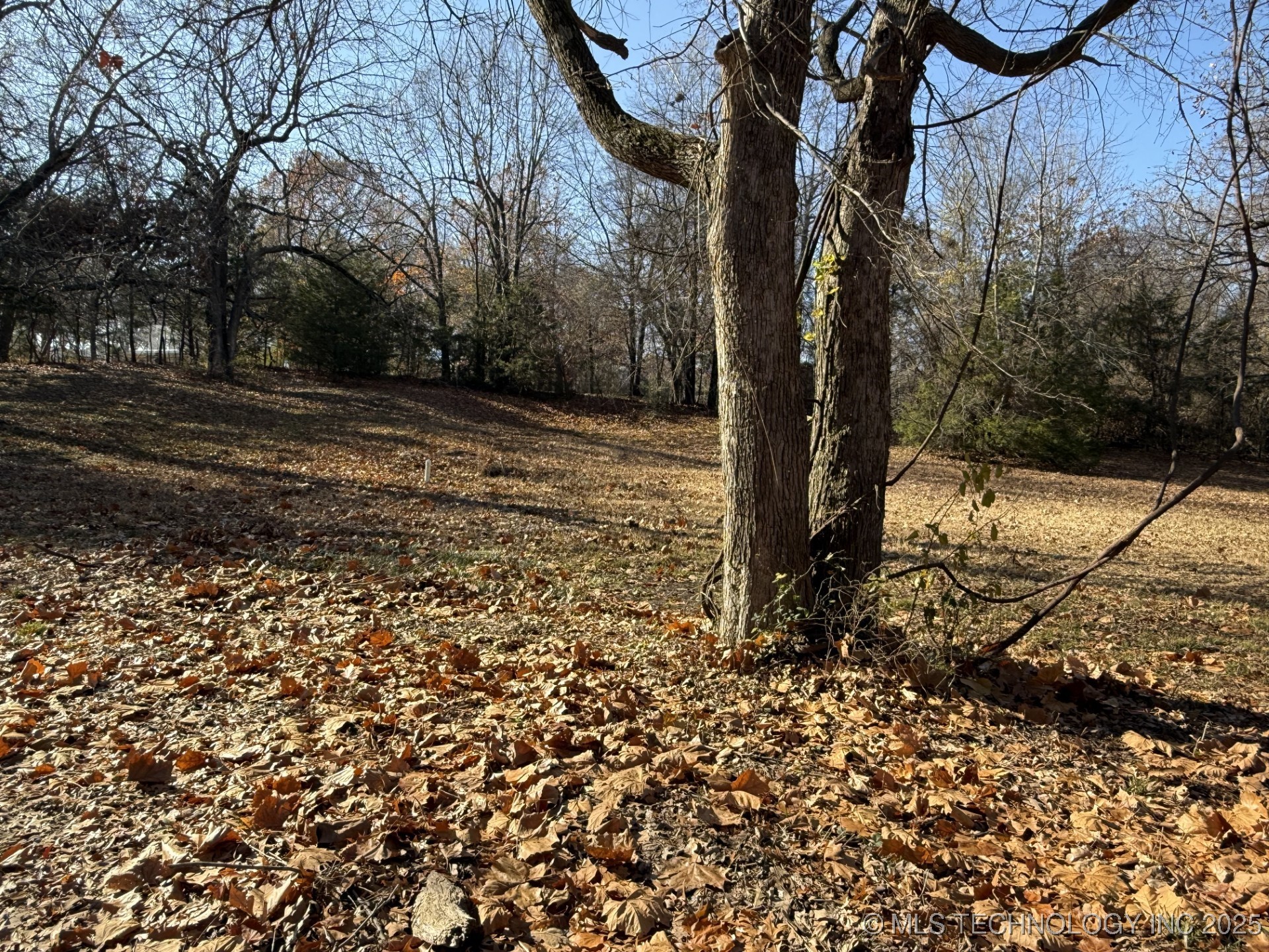 1437 Nitzel Road Property Photo 12