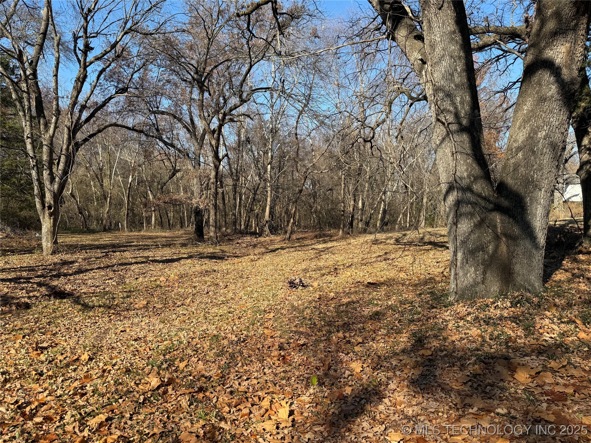 1437 Nitzel Road Property Photo 13