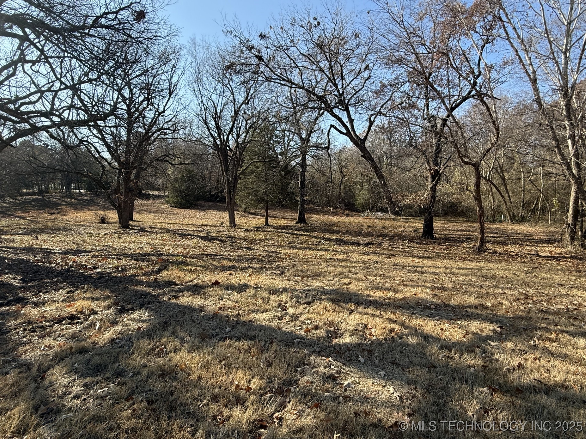 1437 Nitzel Road Property Photo 14