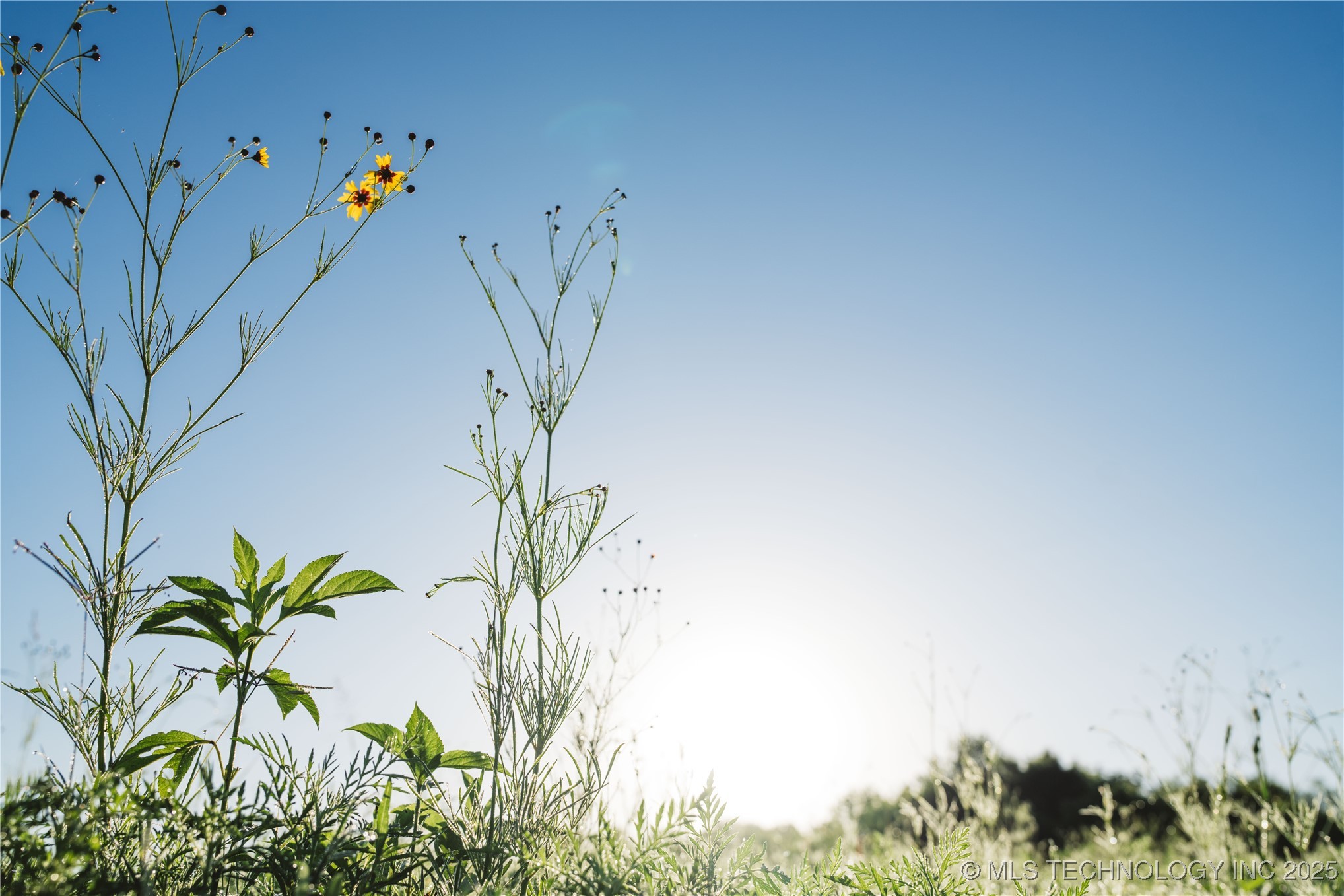 5923 Emberlyn Way Property Photo 12