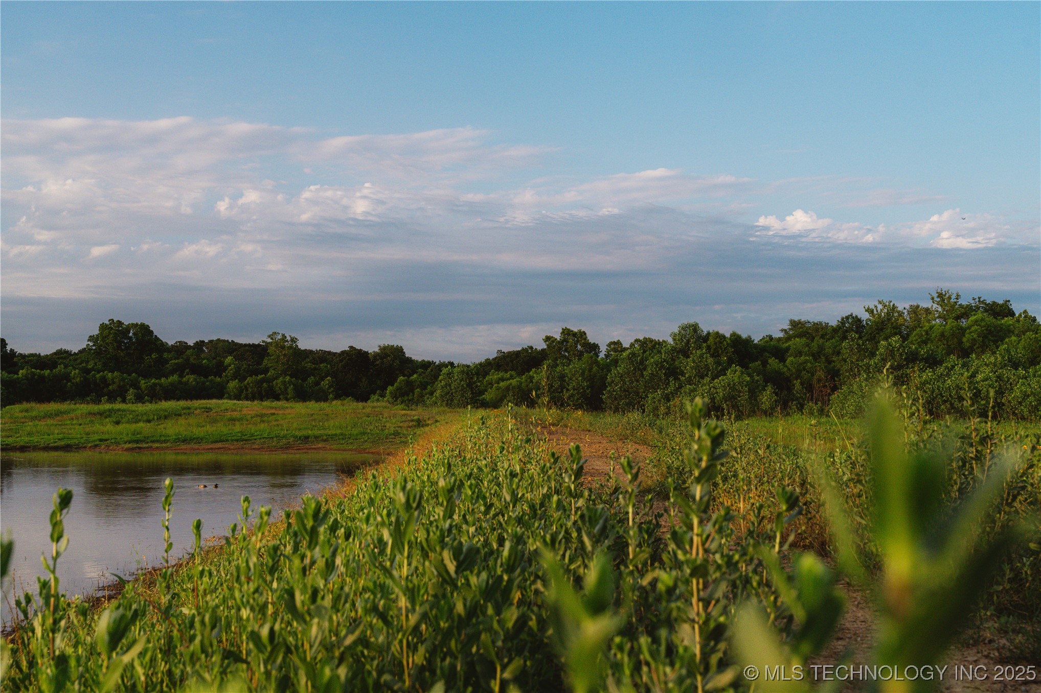 5923 Emberlyn Way Property Photo 19