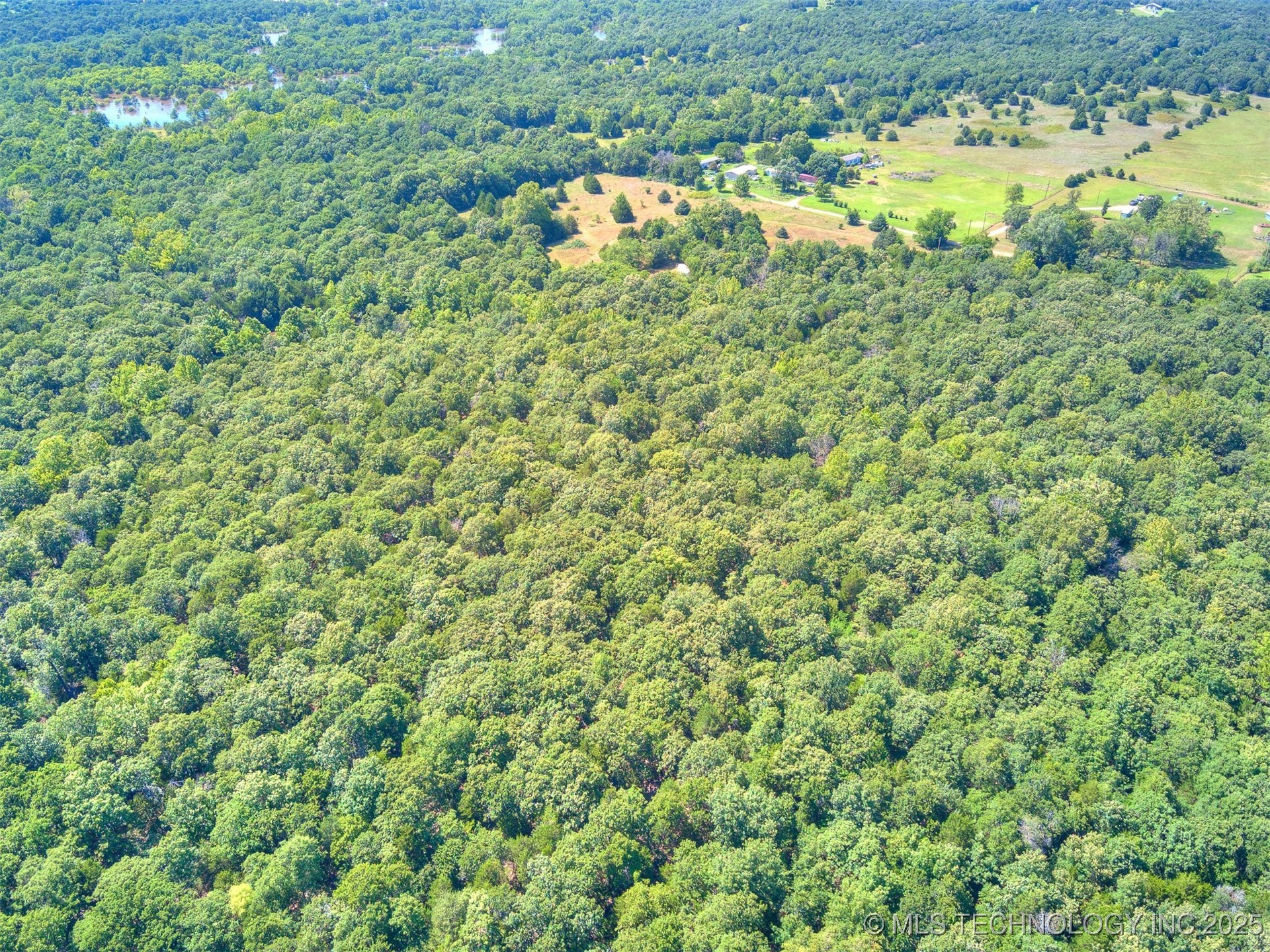 45440 W 46th Street Property Photo 6