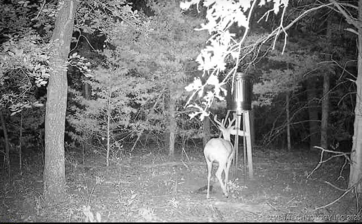 45440 W 46th Street Property Photo 17