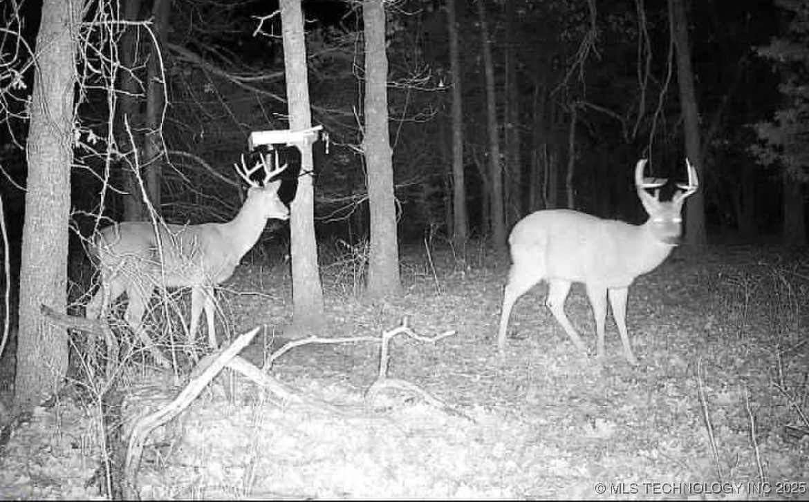 45440 W 46th Street Property Photo 18