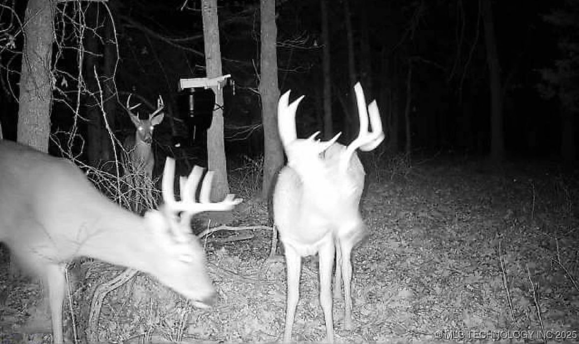 45440 W 46th Street Property Photo 19