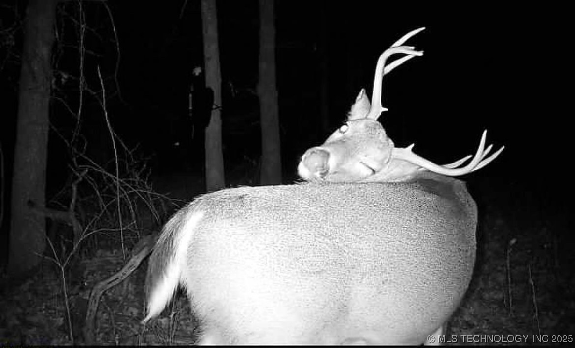 45440 W 46th Street Property Photo 20