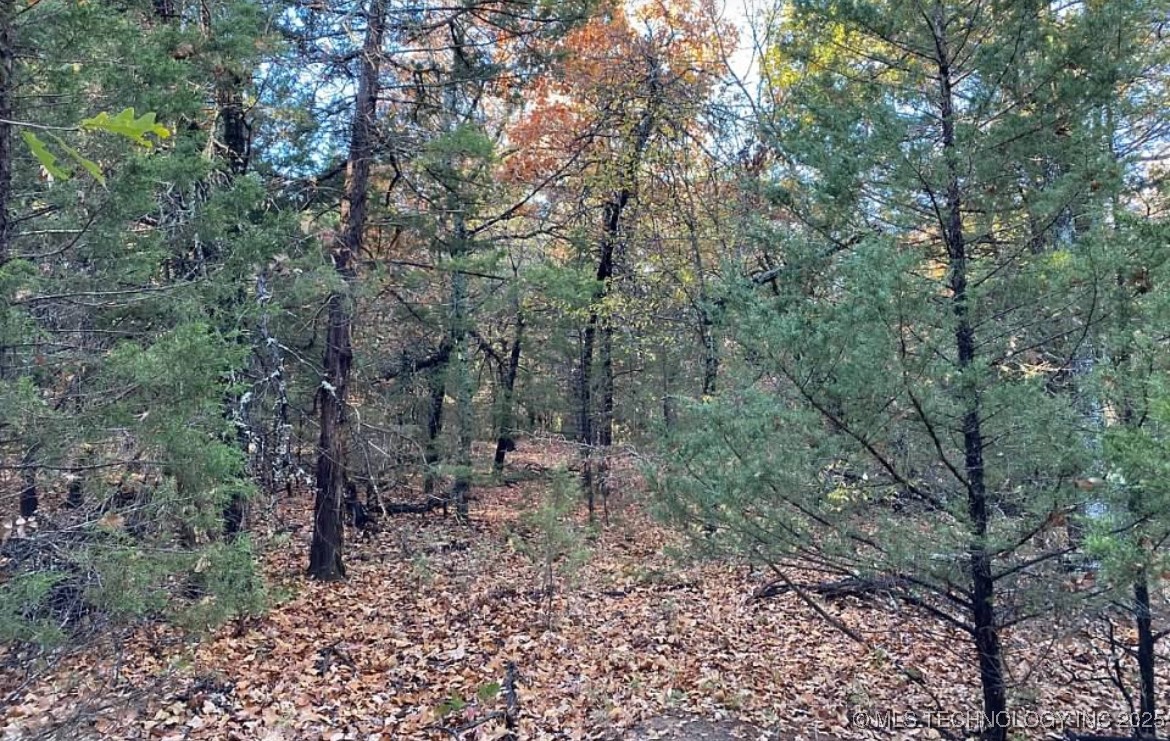 45440 W 46th Street Property Photo 22