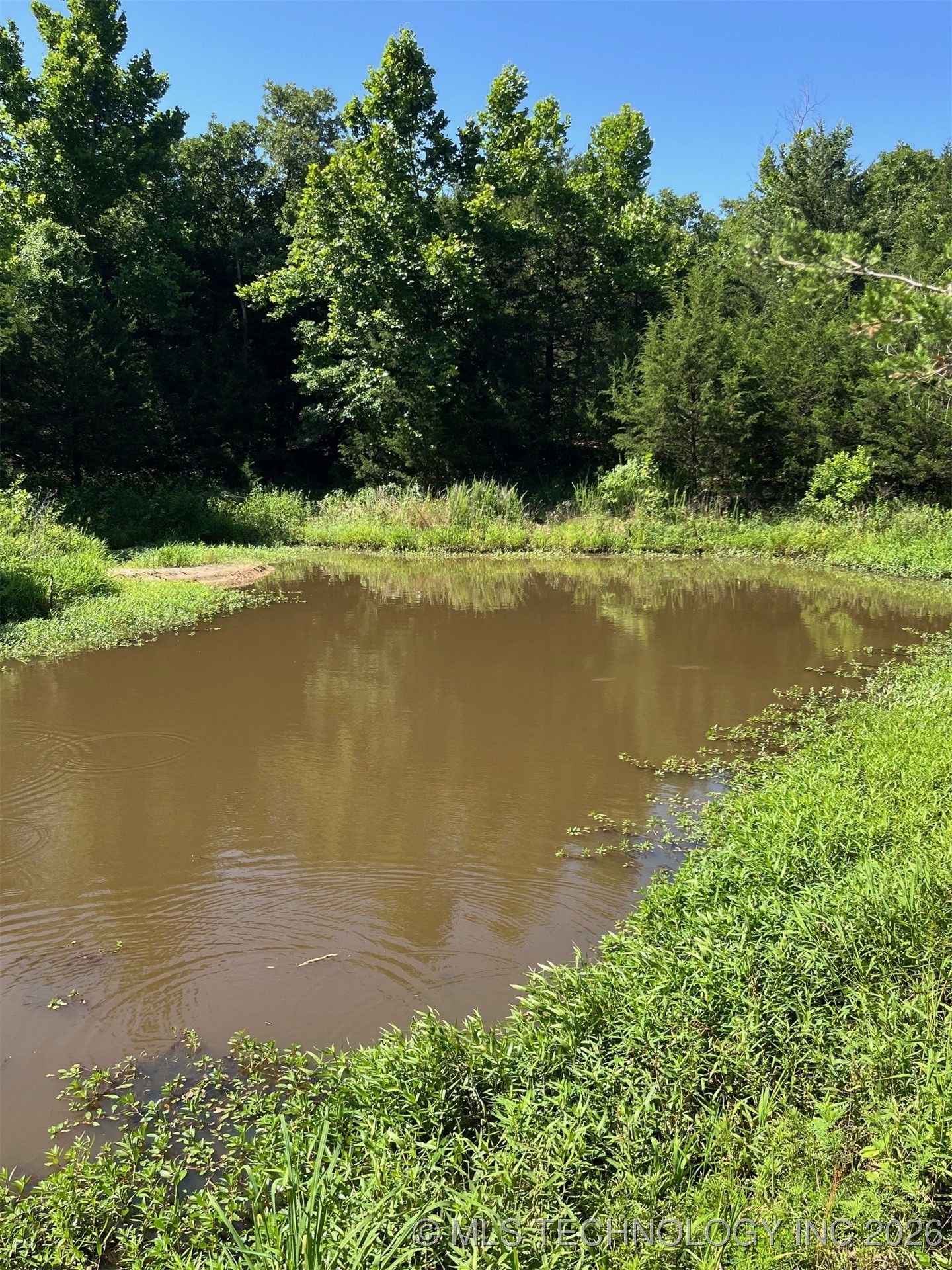 45440 W 46th Street Property Photo 24