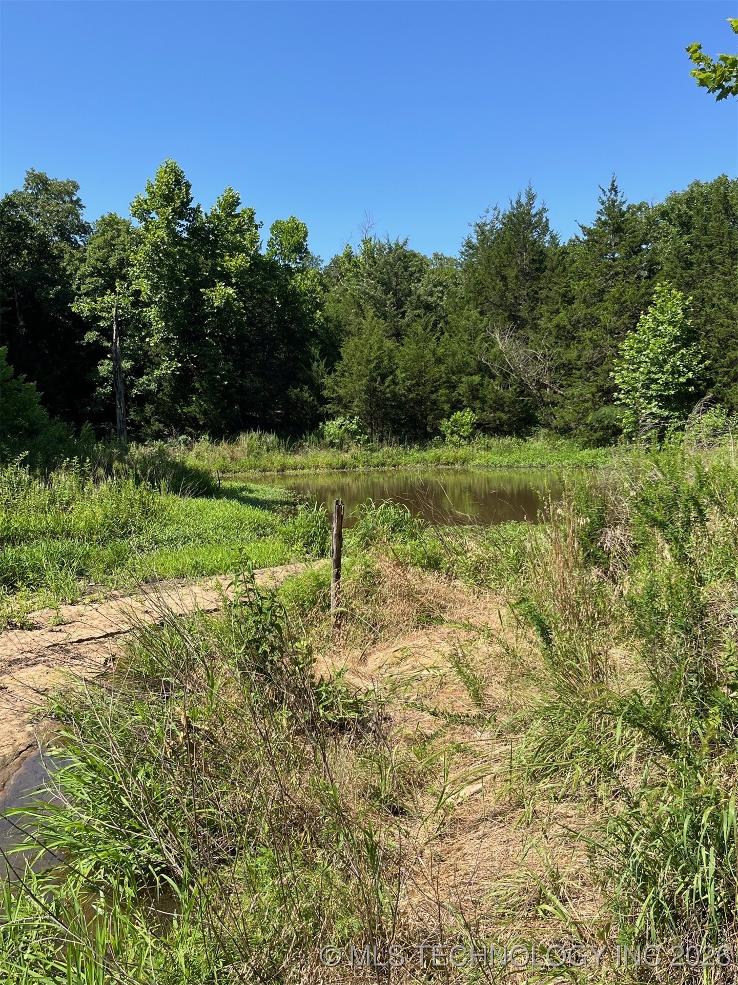 45440 W 46th Street Property Photo 25