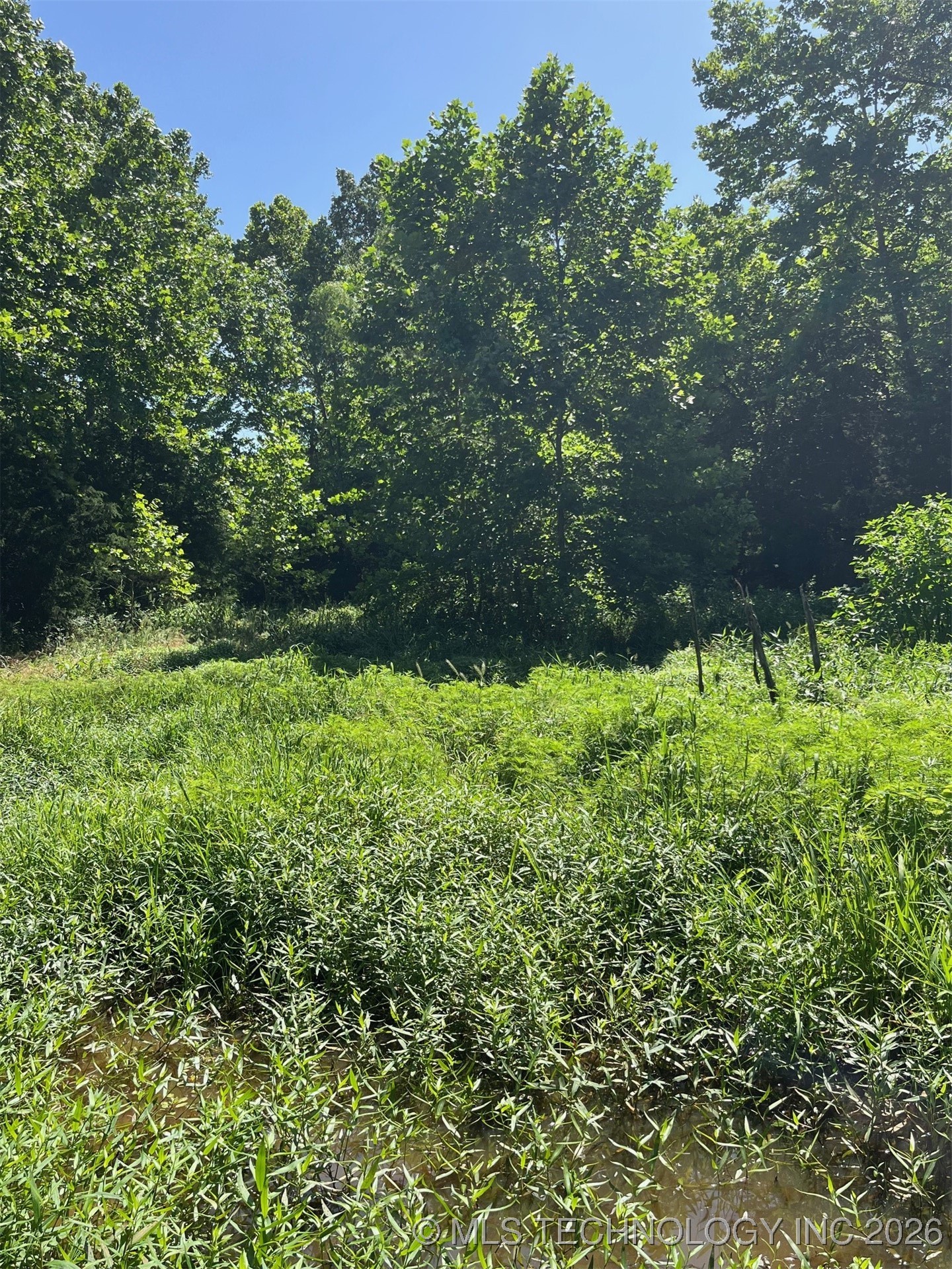 45440 W 46th Street Property Photo 26