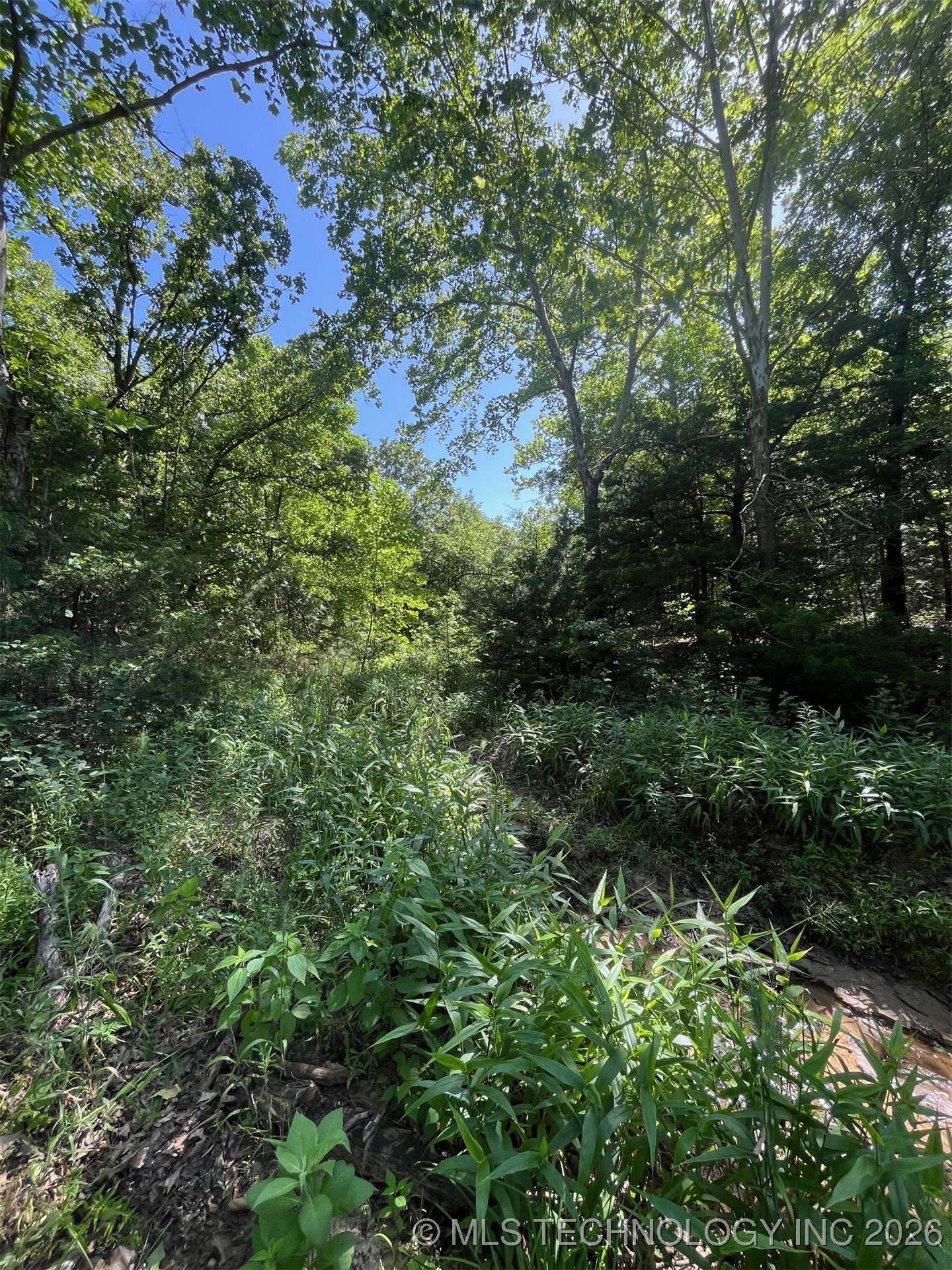 45440 W 46th Street Property Photo 28