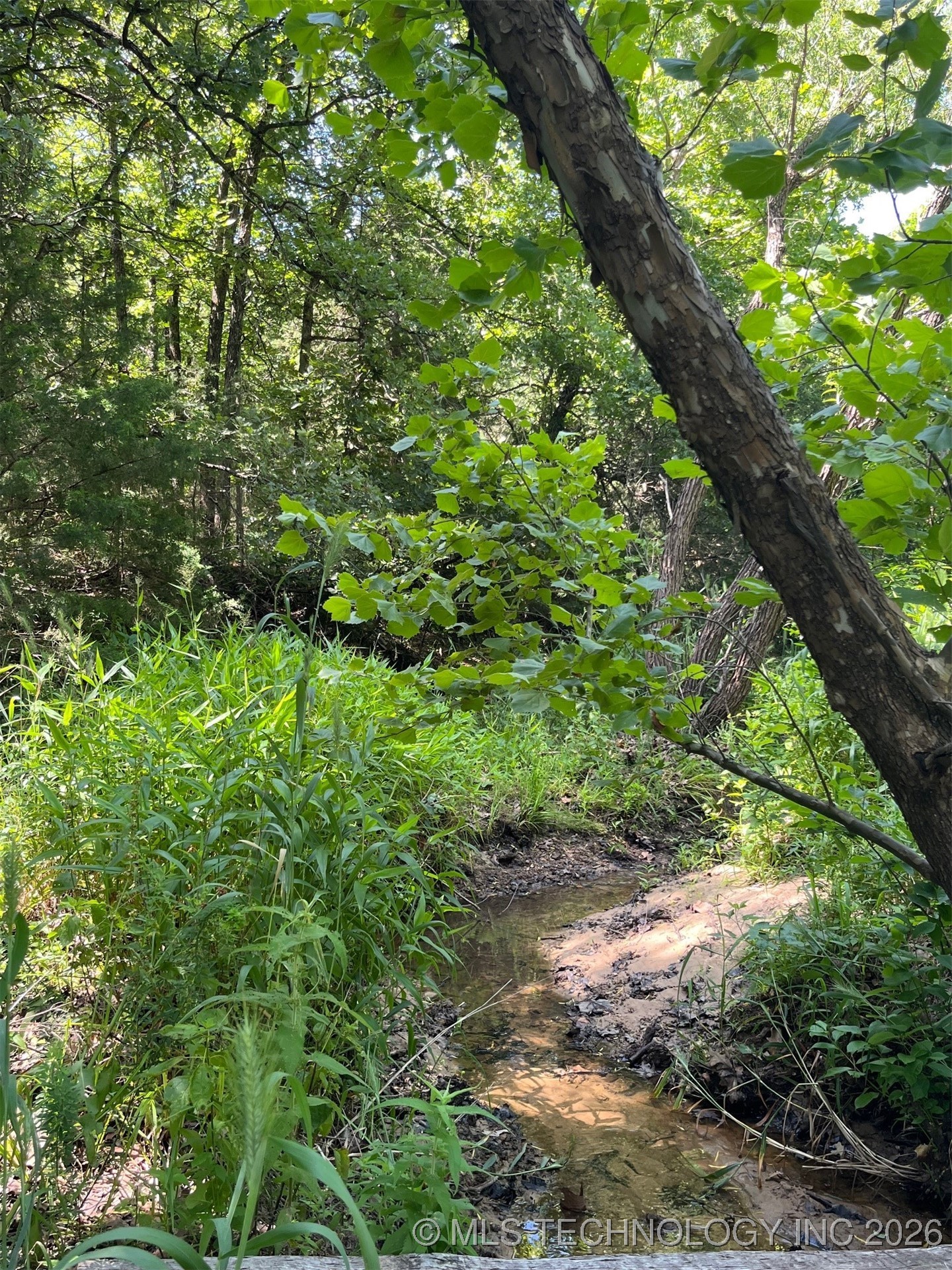 45440 W 46th Street Property Photo 29