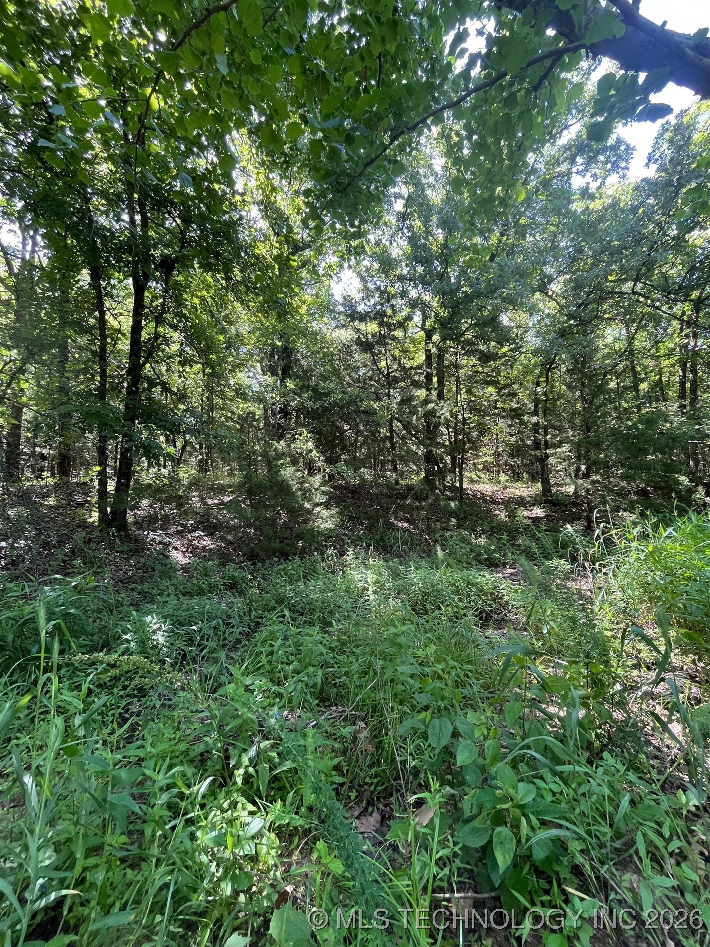 45440 W 46th Street Property Photo 30