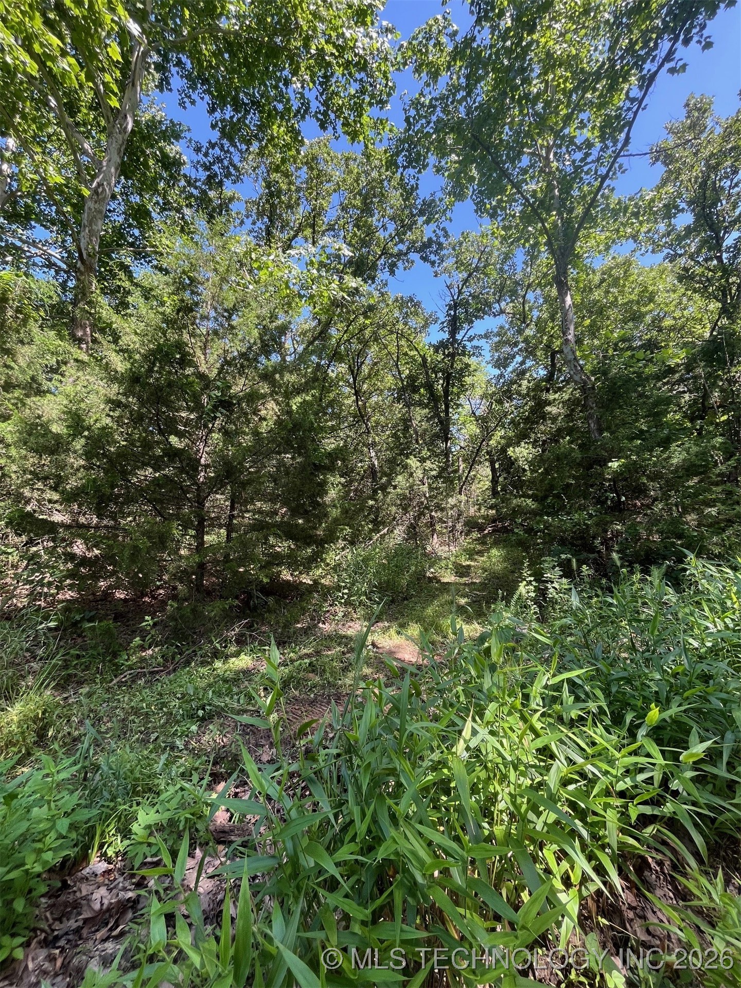 45440 W 46th Street Property Photo 31