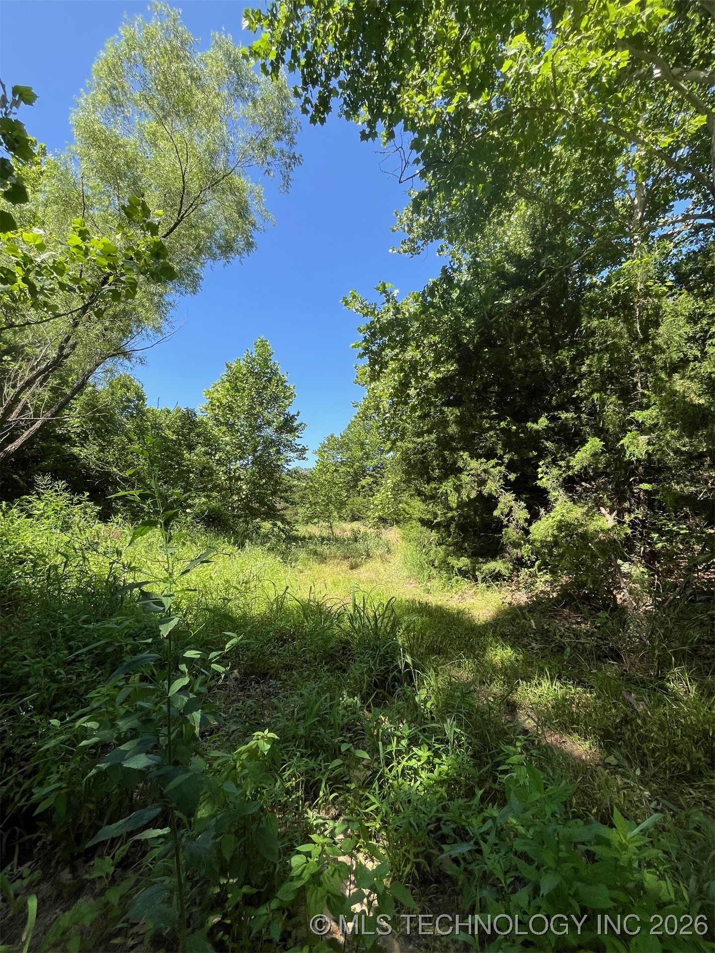 45440 W 46th Street Property Photo 32