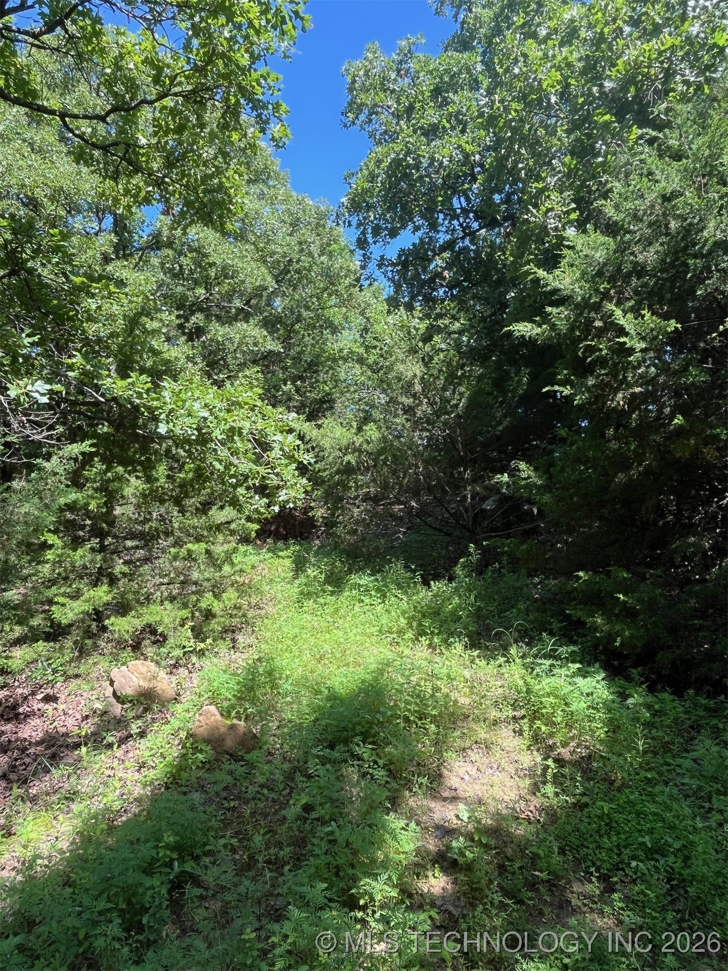 45440 W 46th Street Property Photo 33