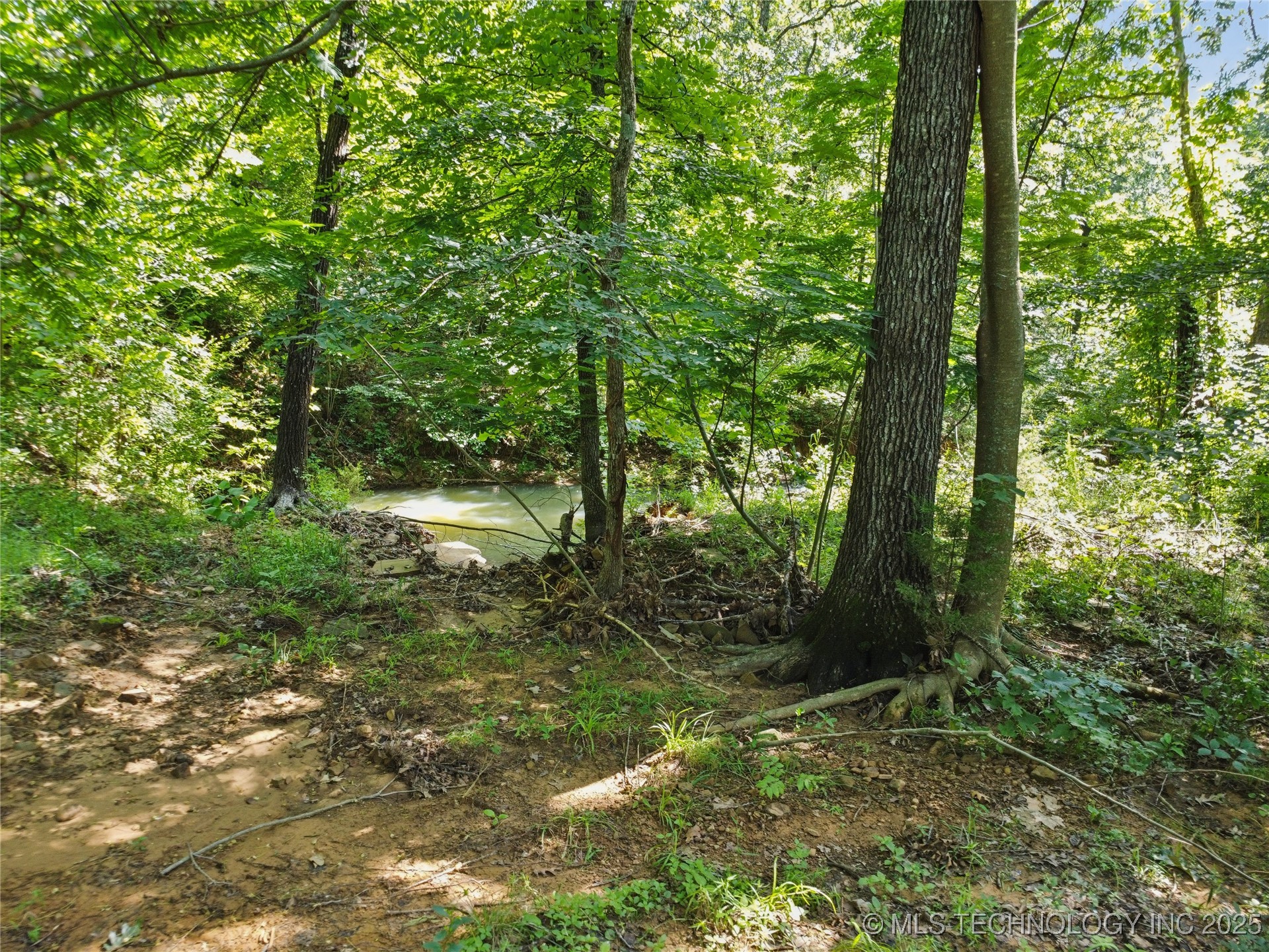 Bristlecone Road Property Photo 2