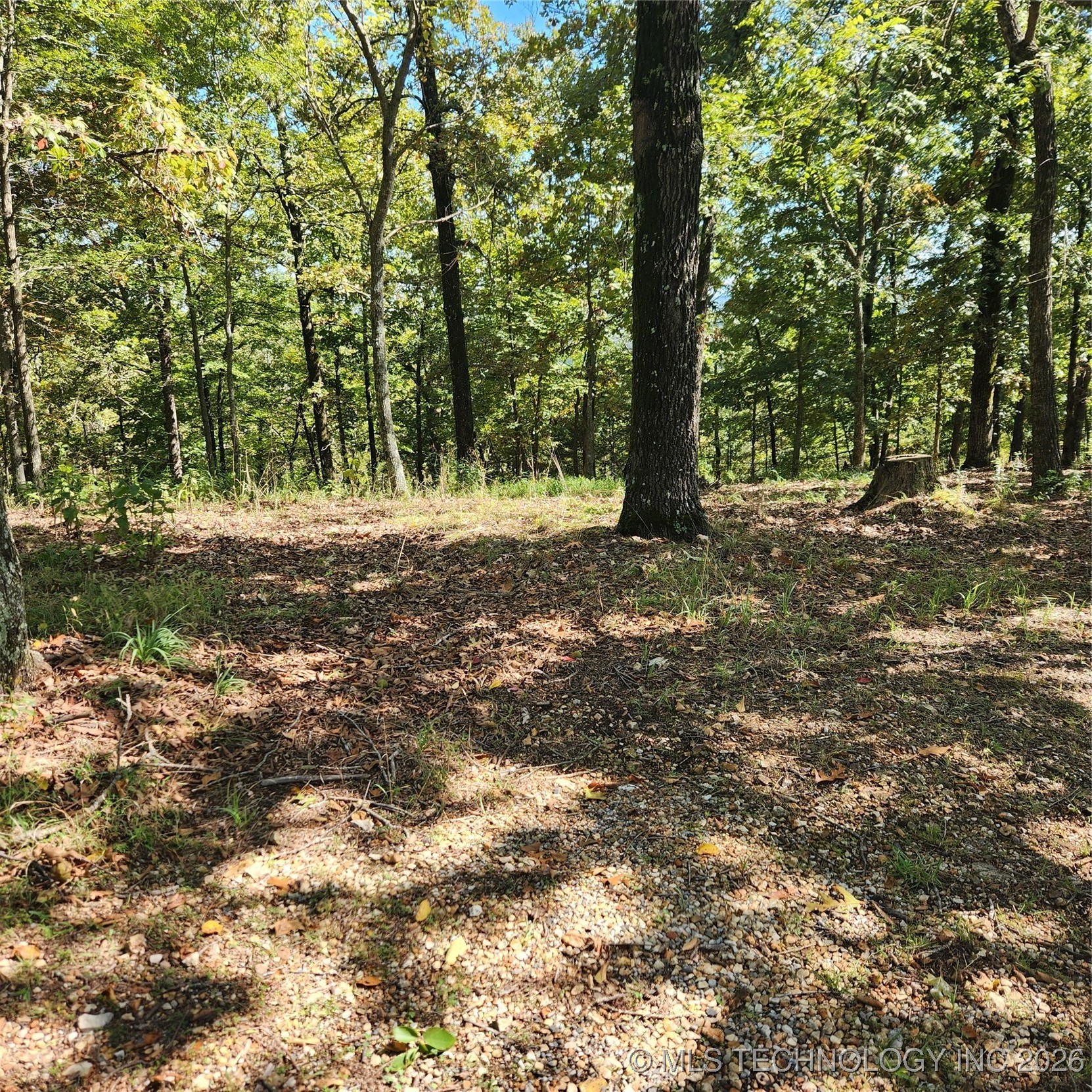 23174 Flint Ridge Drive Property Photo 2
