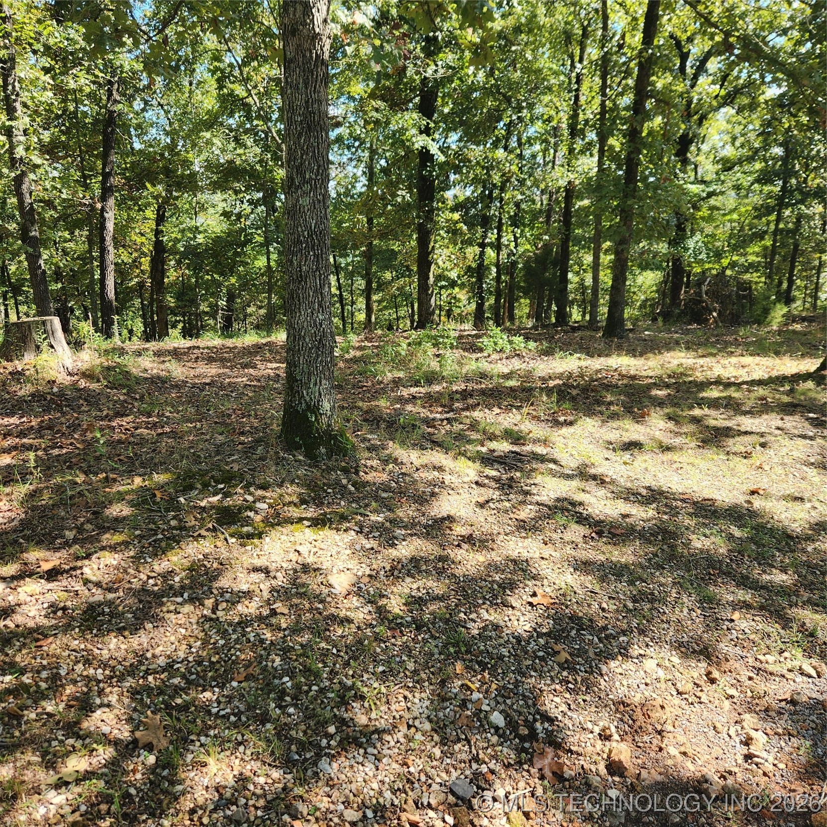 23174 Flint Ridge Drive Property Photo 3