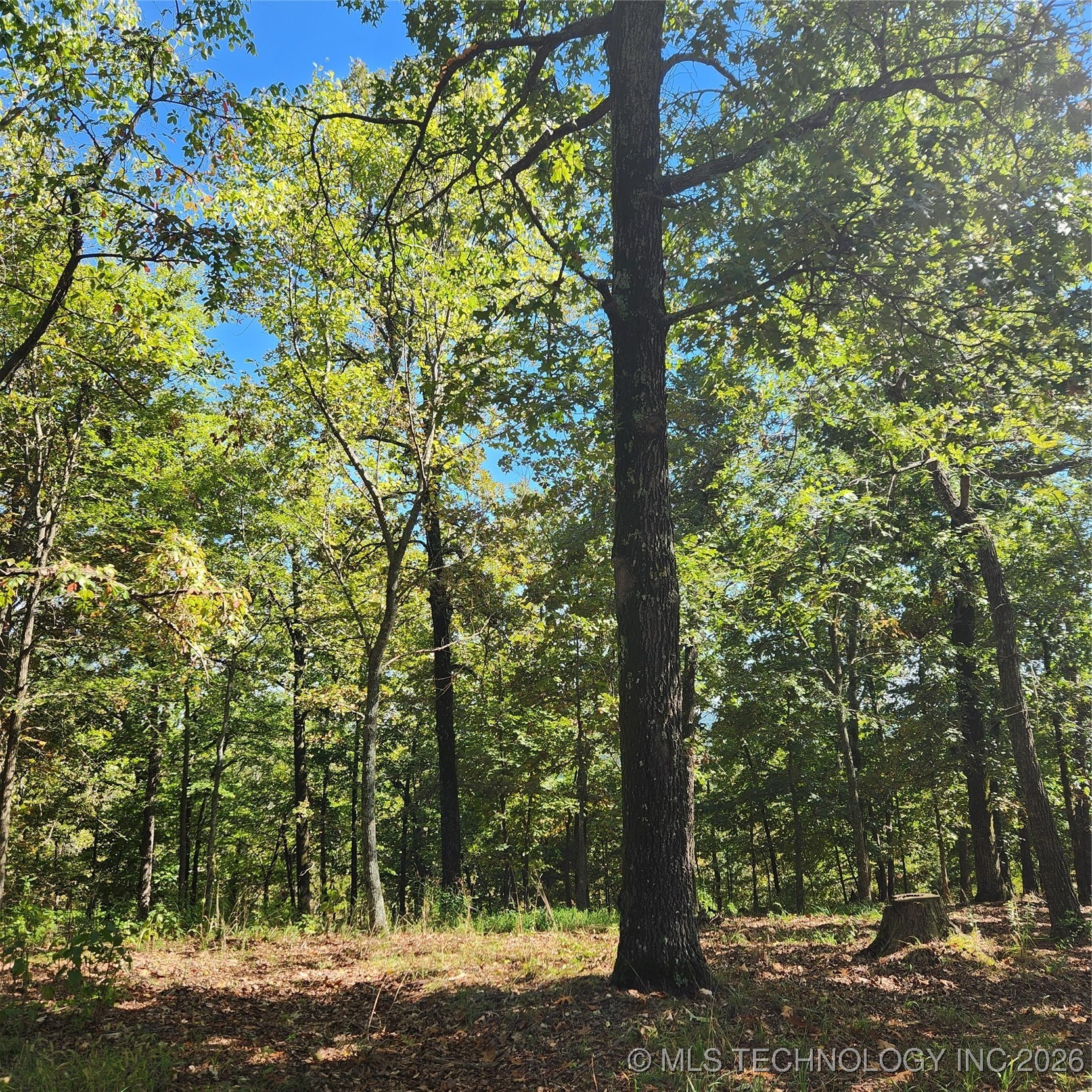 23174 Flint Ridge Drive Property Photo 4