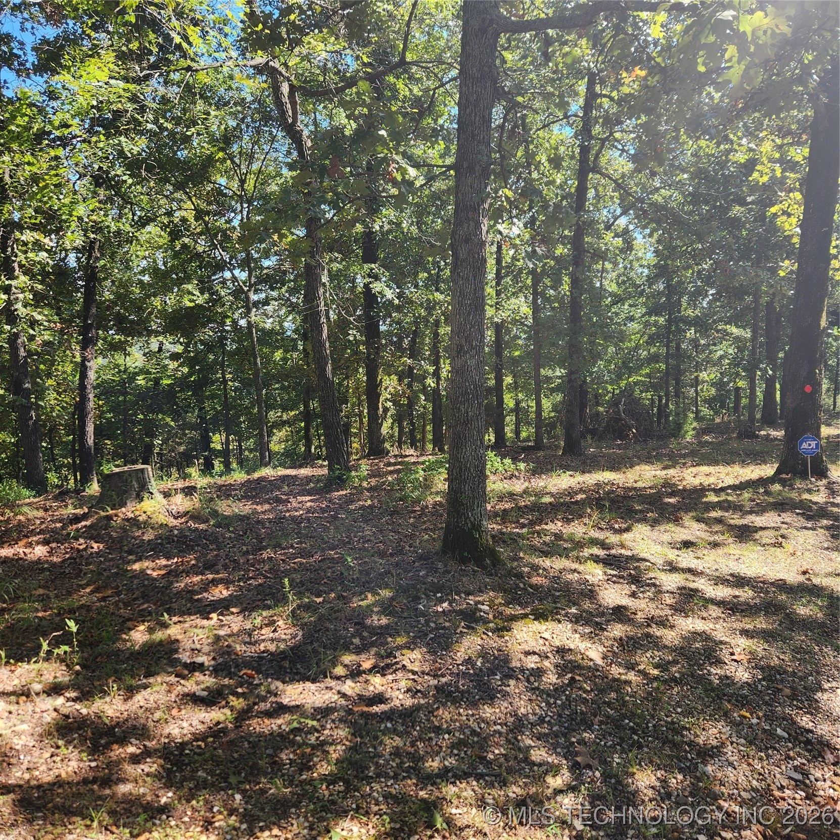 23174 Flint Ridge Drive Property Photo 5