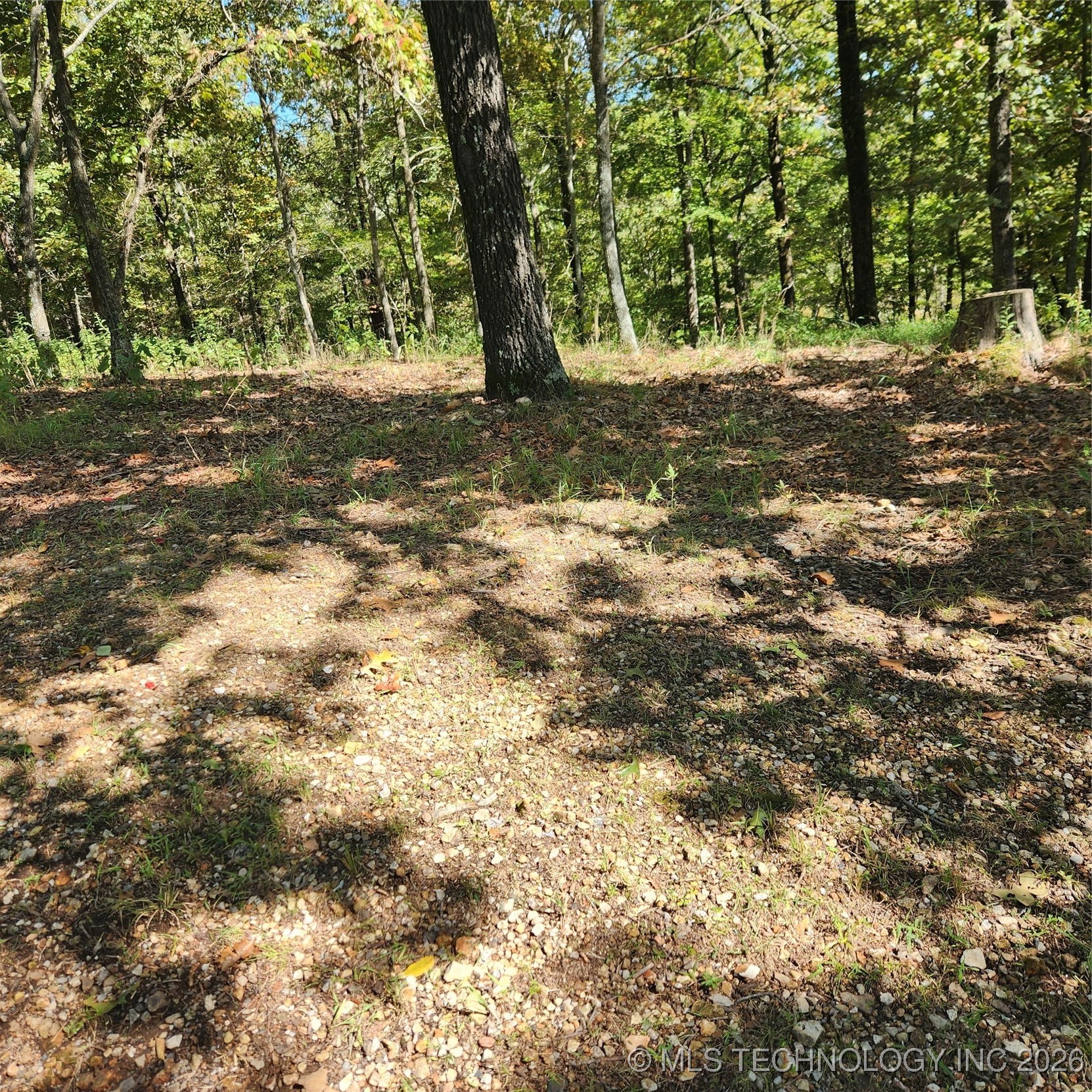 23174 Flint Ridge Drive Property Photo 6