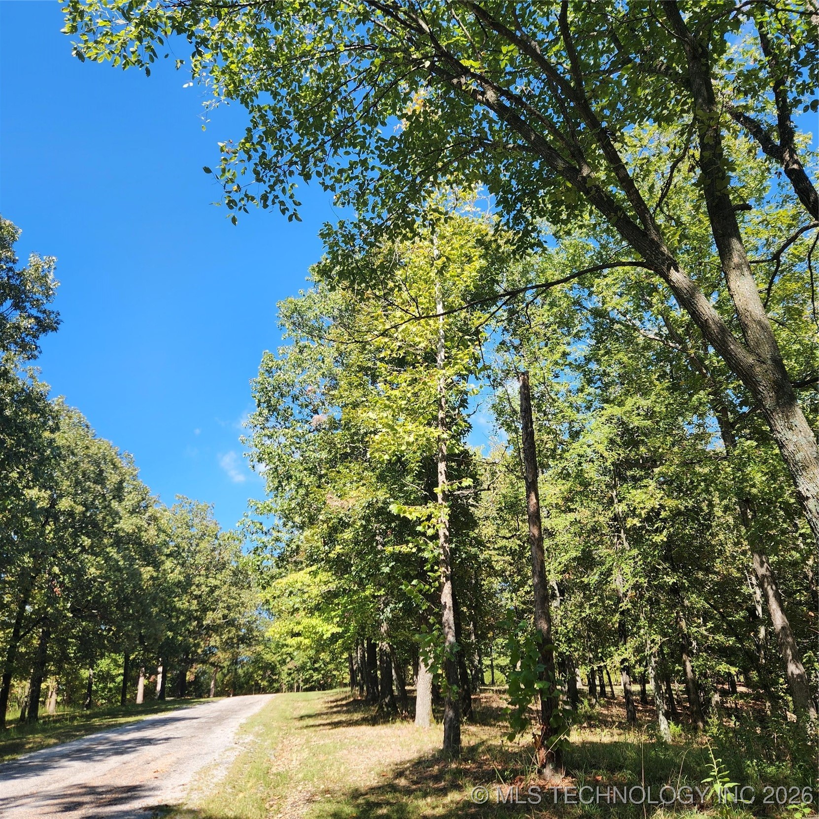 23174 Flint Ridge Drive Property Photo 7