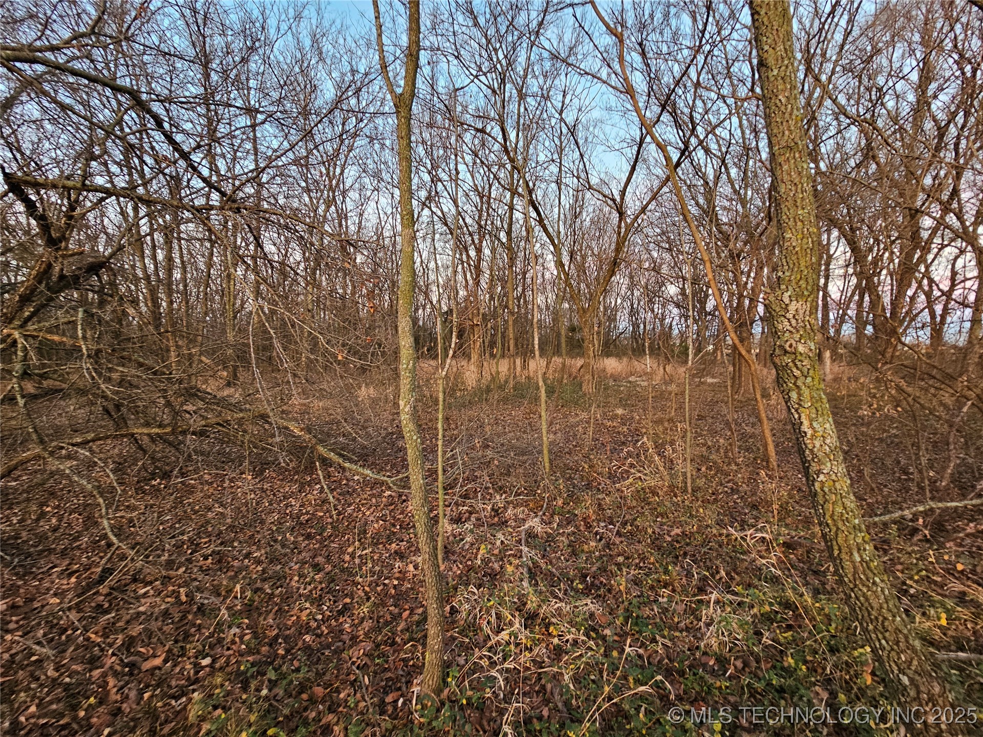 00001 N 4420 Road Property Photo 18