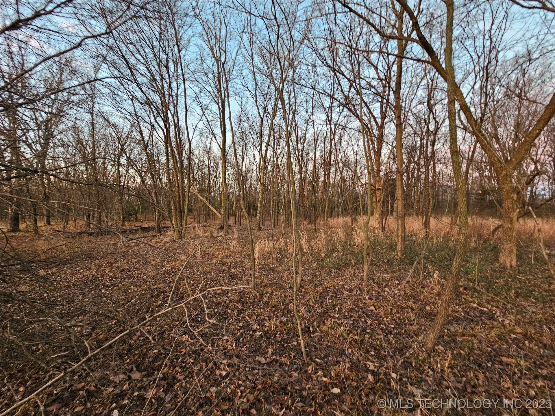 00001 N 4420 Road Property Photo 19