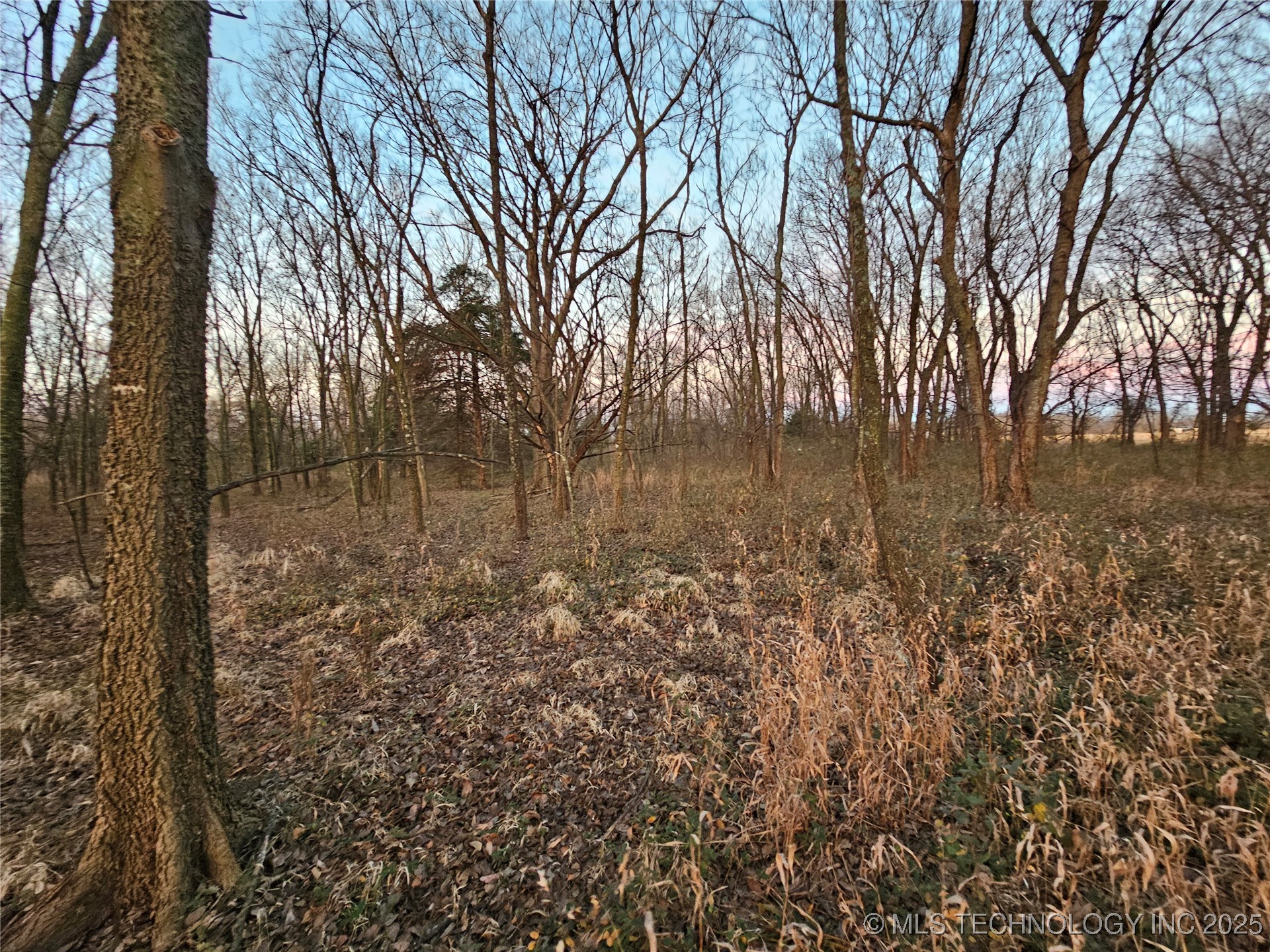 00001 N 4420 Road Property Photo 22