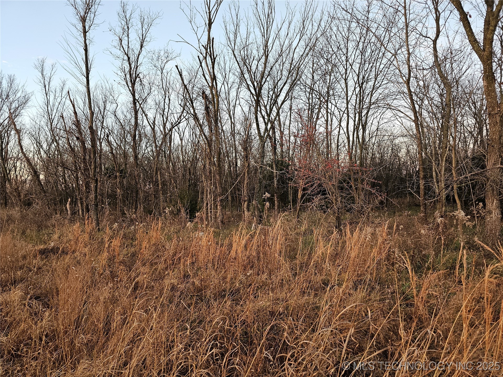 00001 N 4420 Road Property Photo 24