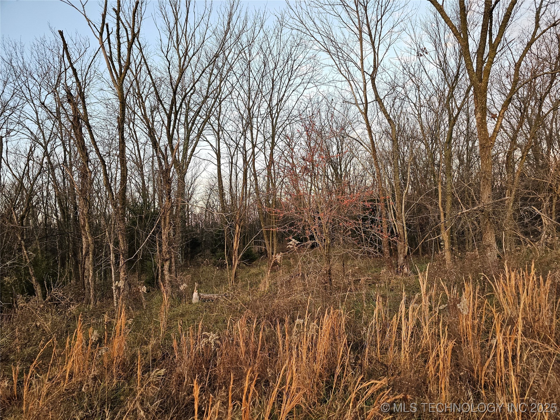 00001 N 4420 Road Property Photo 25