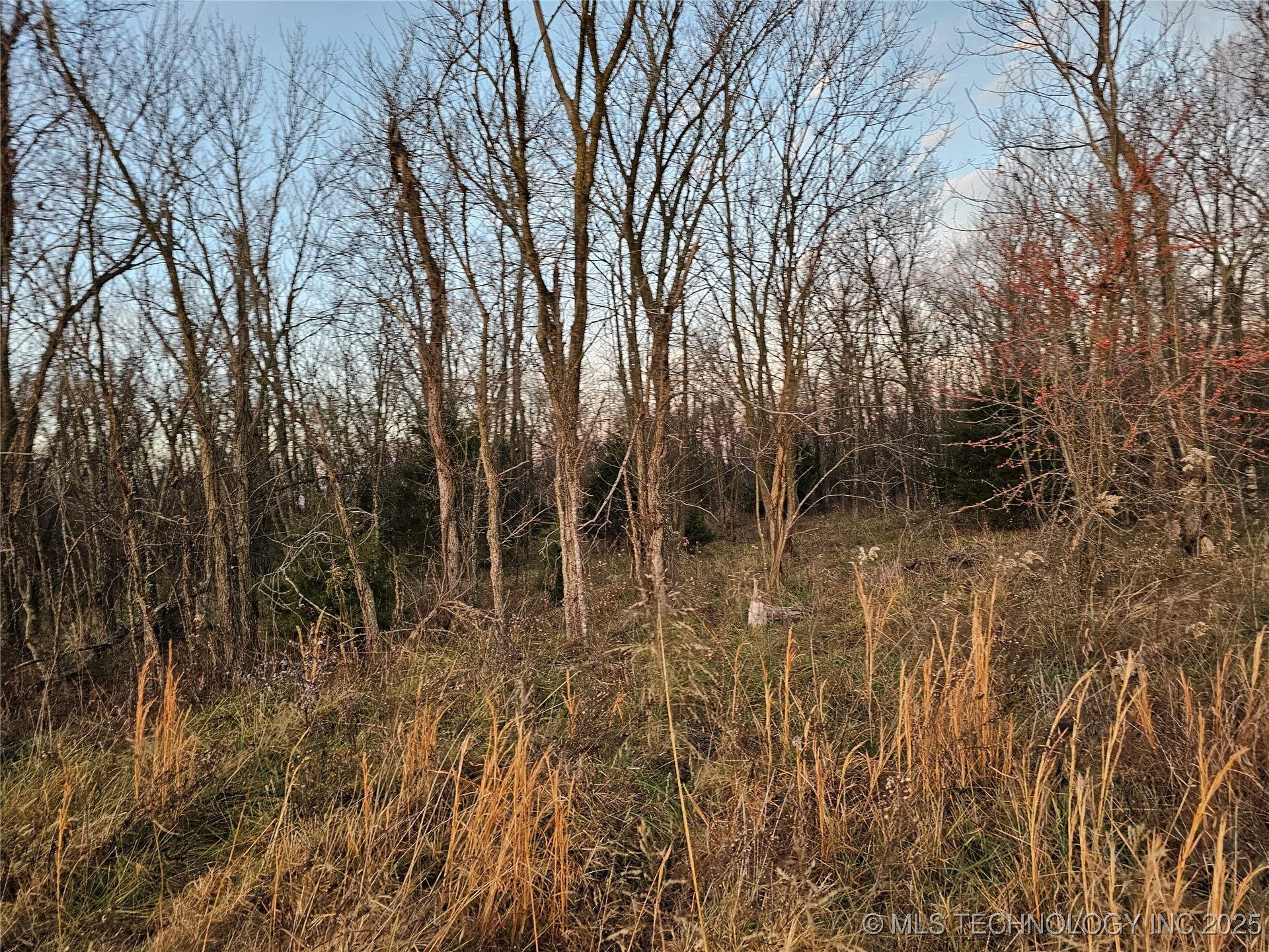 00001 N 4420 Road Property Photo 26